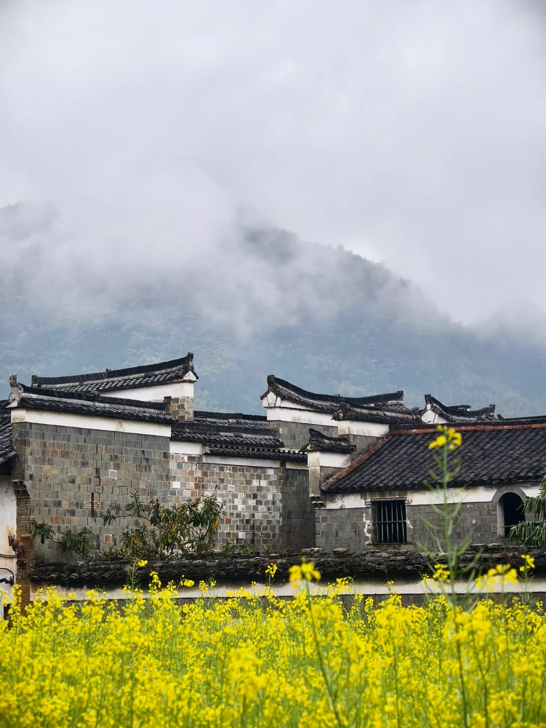 后悔才来｜这个被国家地理评为活着的古镇