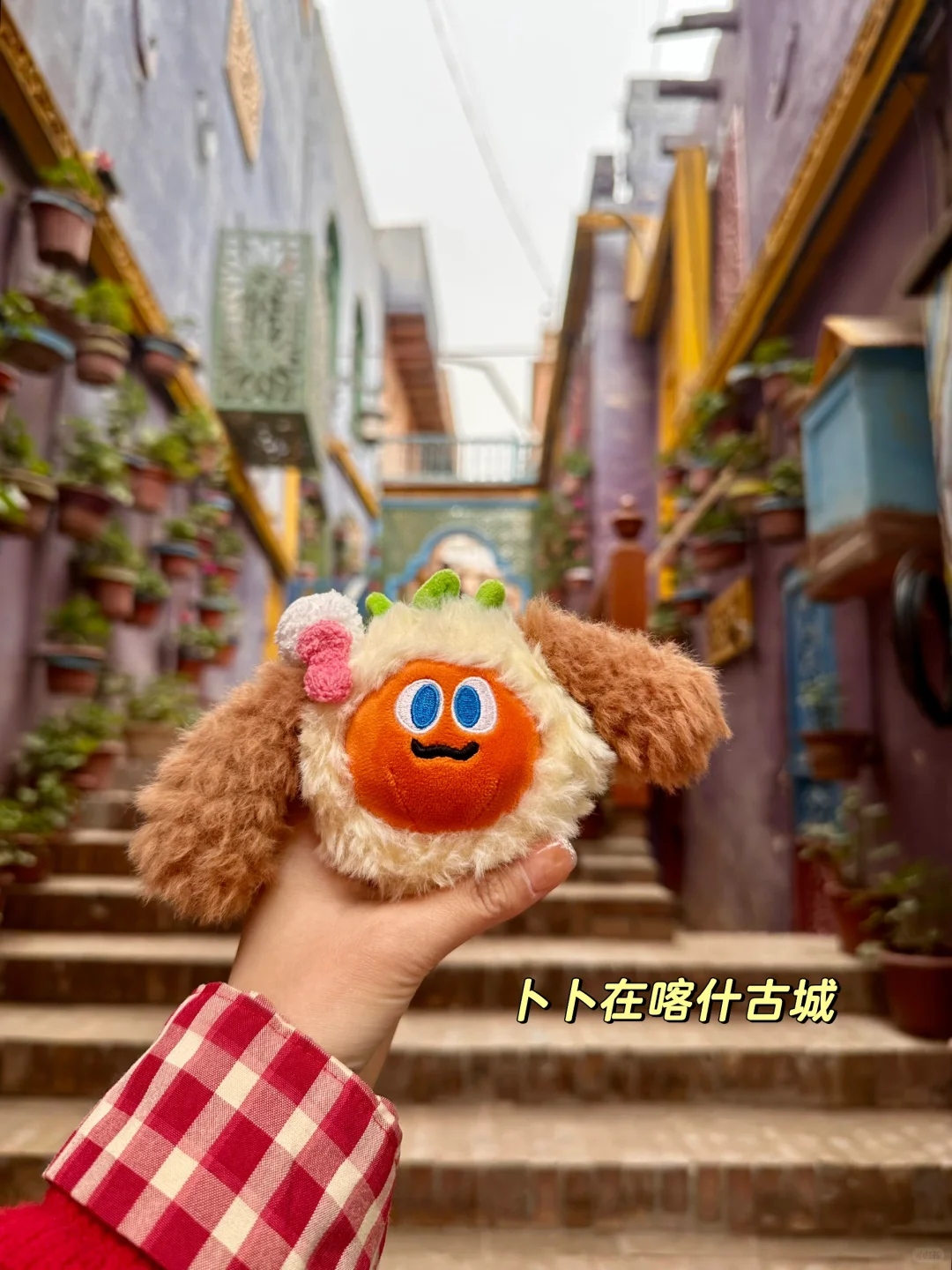 带卜卜看世界之🥕卜卜游新疆喀什🌍🏔️