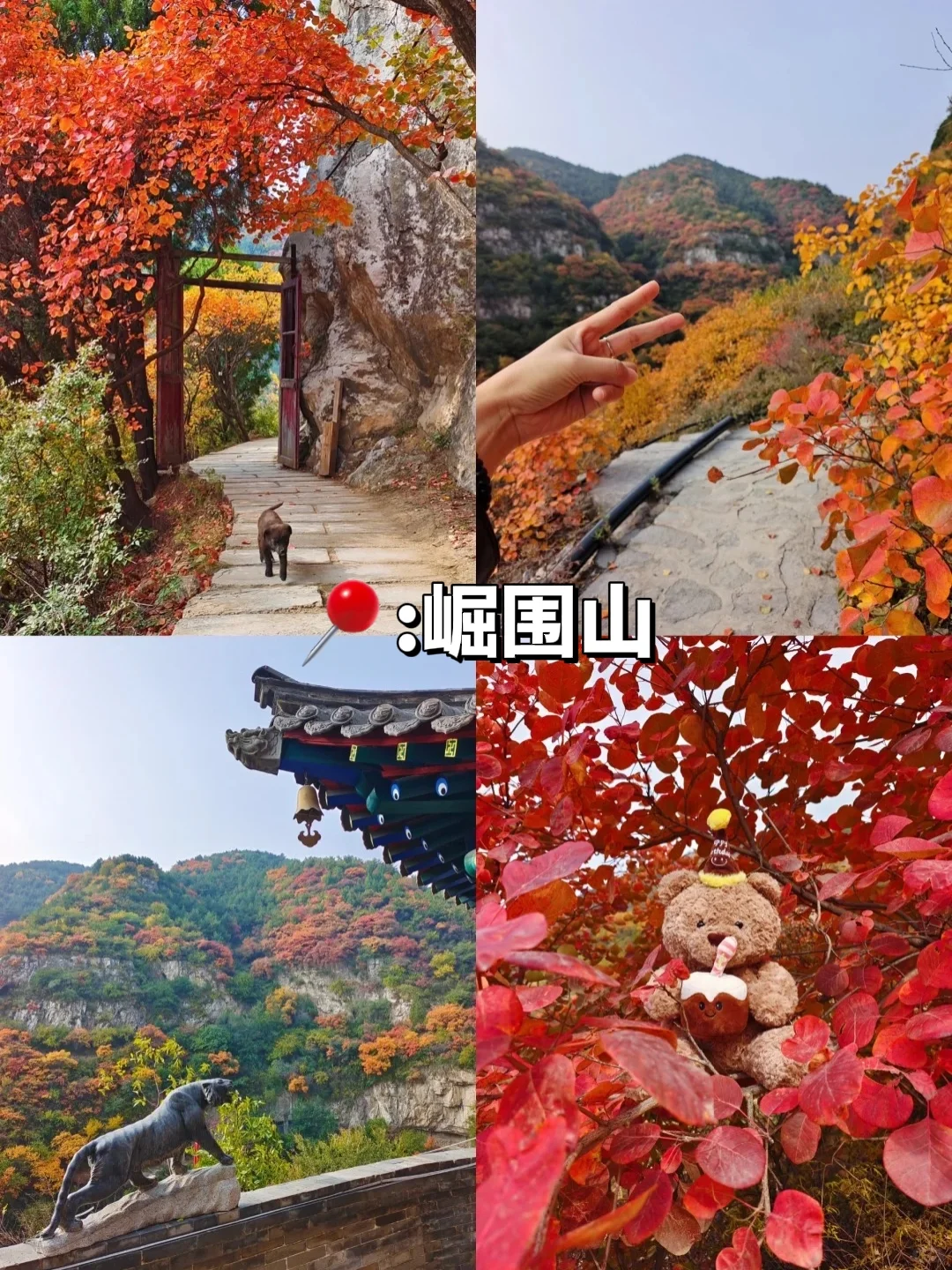 后悔没早点知道太原8个踏青好去处‼️