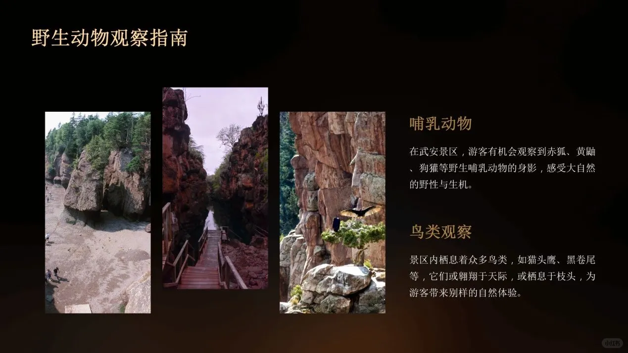 武安景区全攻略：揭秘不为人知的景点，一场