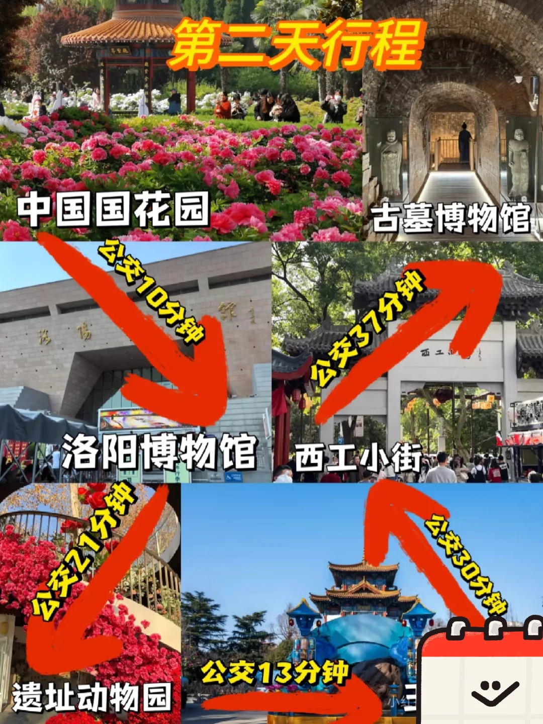 04女大穷游洛阳📍四天｜真实旅游分享
