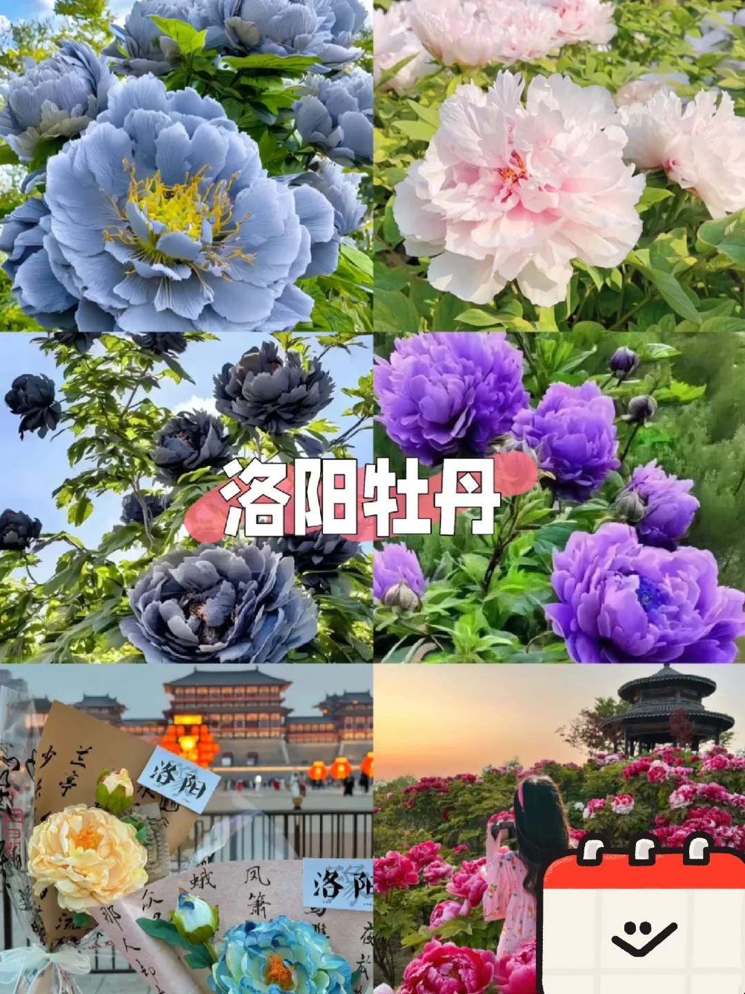 04女大穷游洛阳📍四天｜真实旅游分享