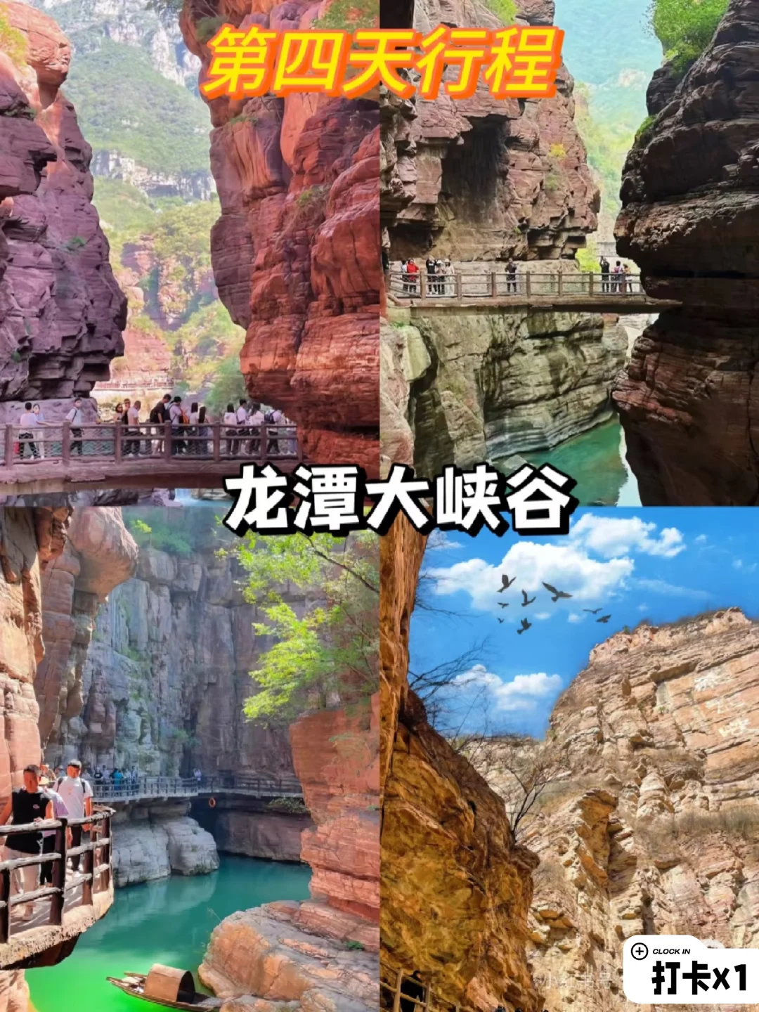 04女大穷游洛阳📍四天｜真实旅游分享