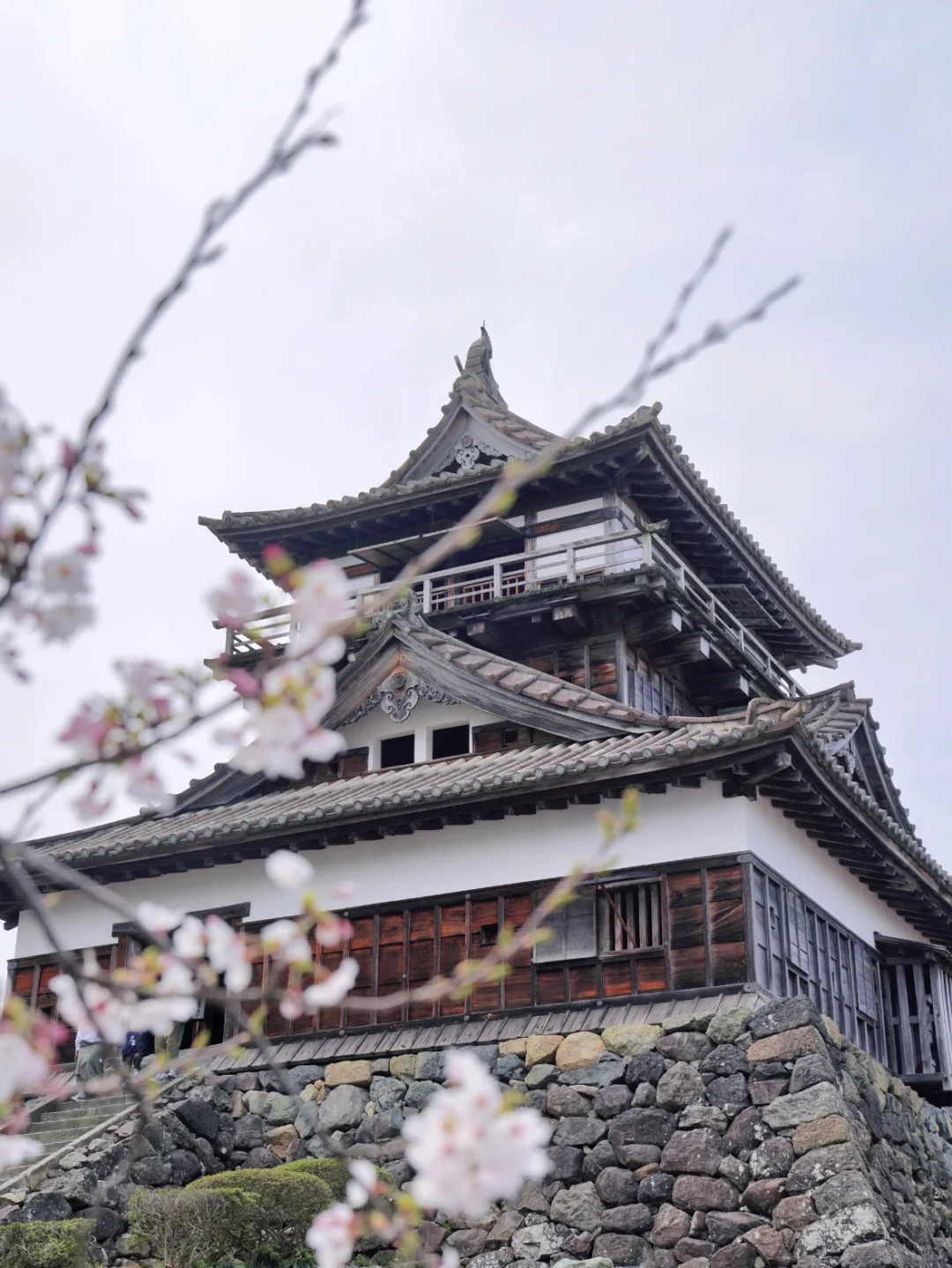 🌟Riku家乡福井旅游全攻略