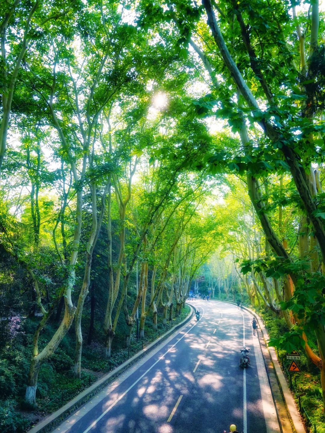 南京不花钱可以逛一天的精神避难所（10/100）