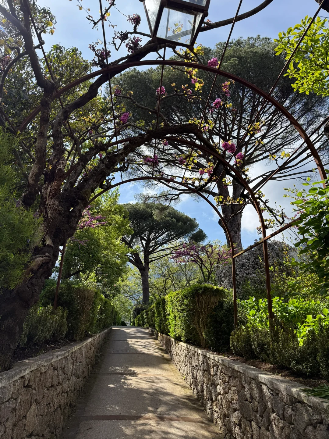 去南意不要再去 Positano了！去Ravello！