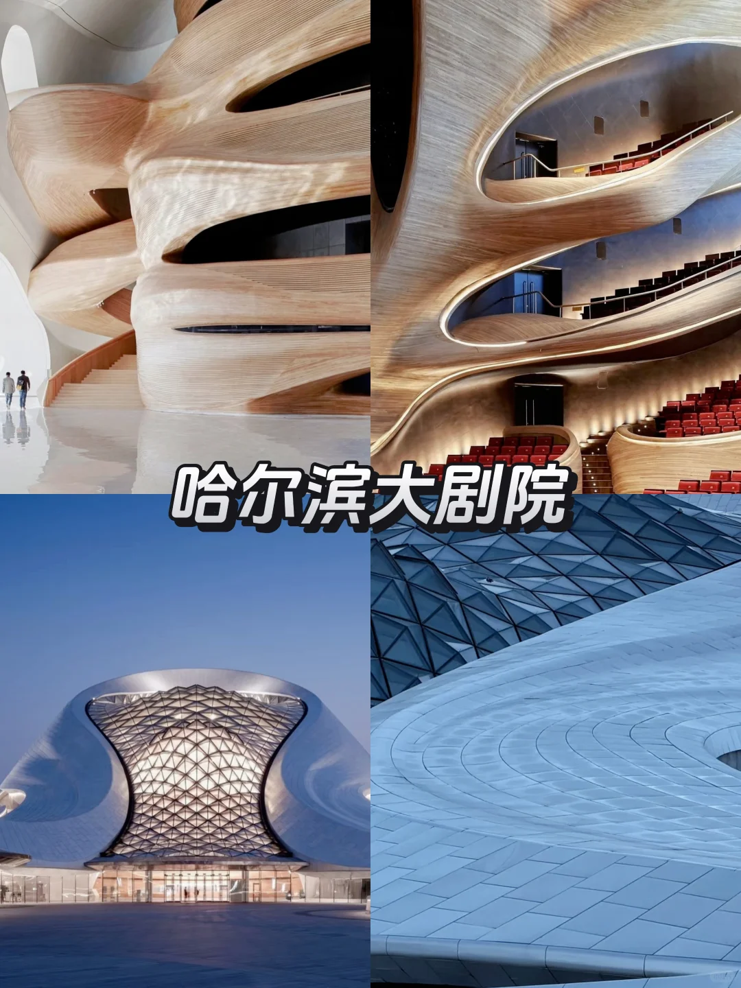 📚4月份来尔滨｜必去九大景点❗️❗️