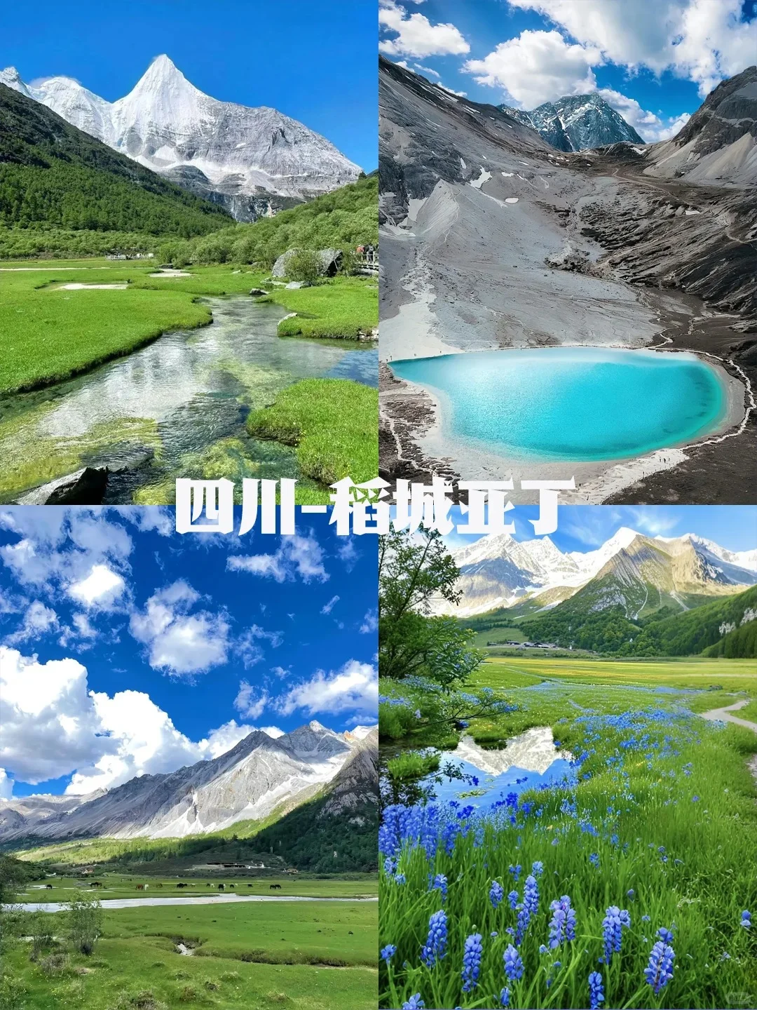 不愧是Deepseek 五一端午草原反向旅游推荐