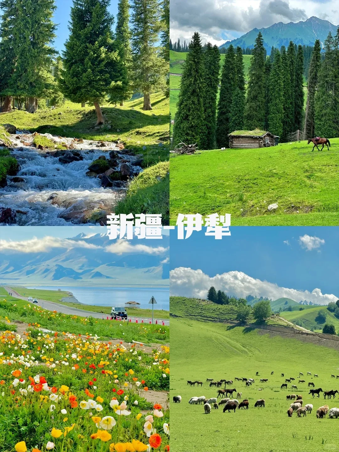 不愧是Deepseek 五一端午草原反向旅游推荐