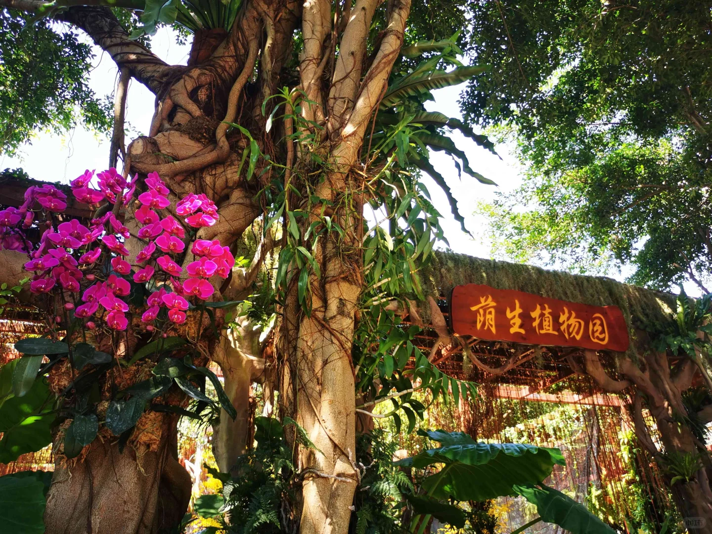南宁青秀山旅游攻略