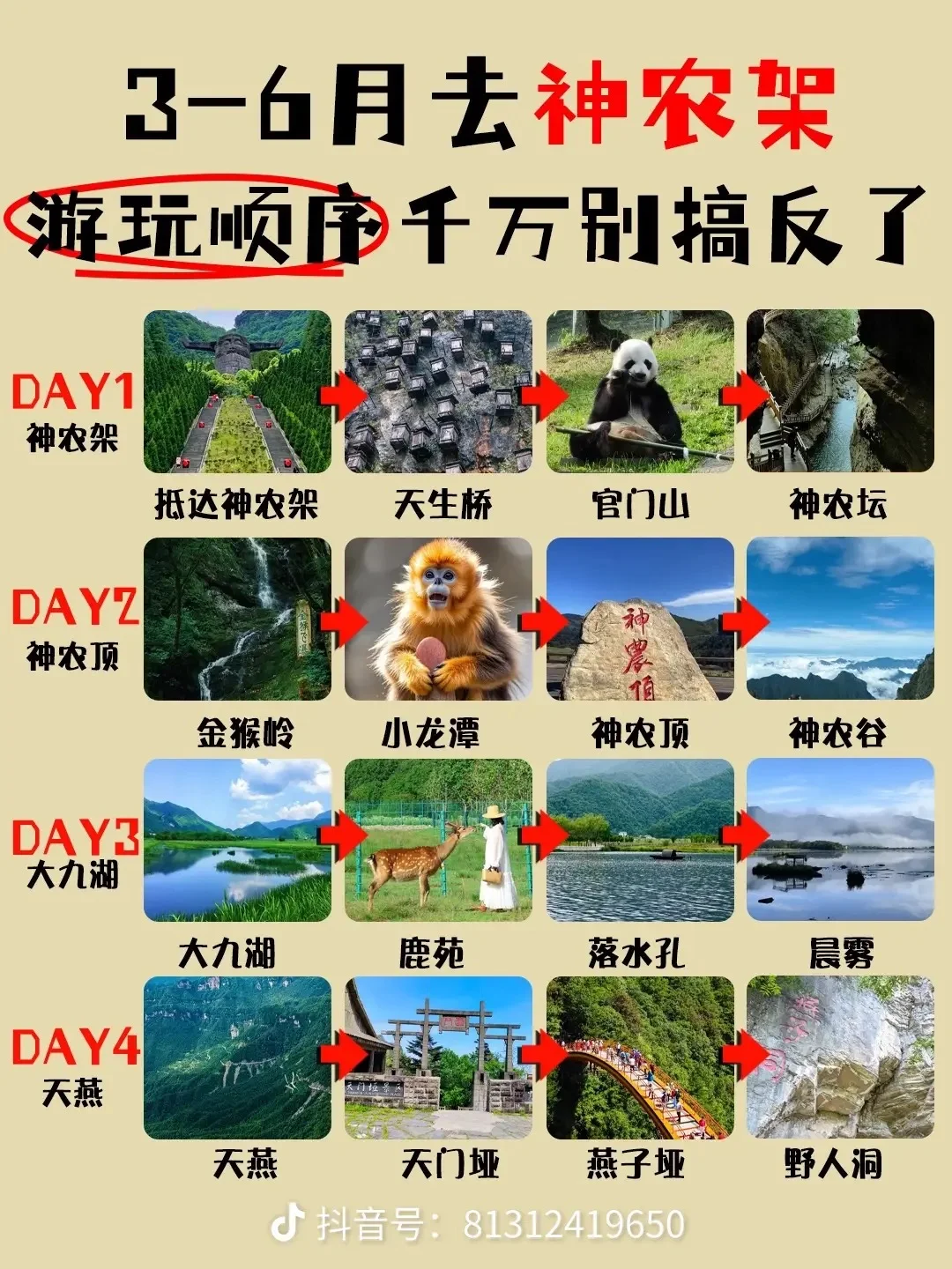 神农山攻略