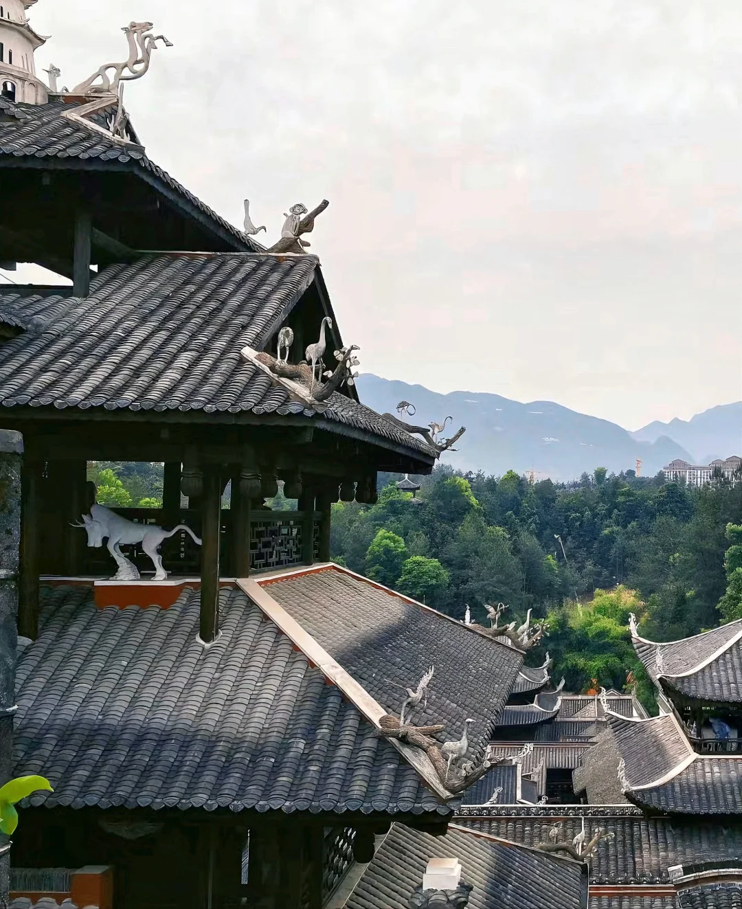 大学生暑假旅行｜恩施三天两夜（避坑）