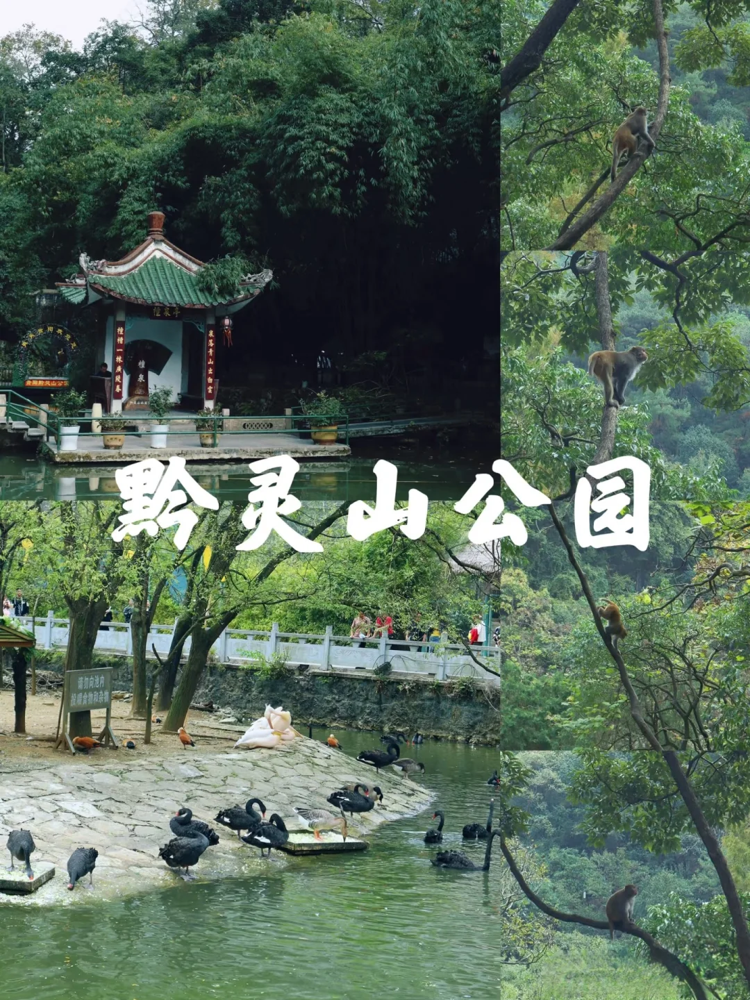 📝 贵阳3天2夜超全攻略