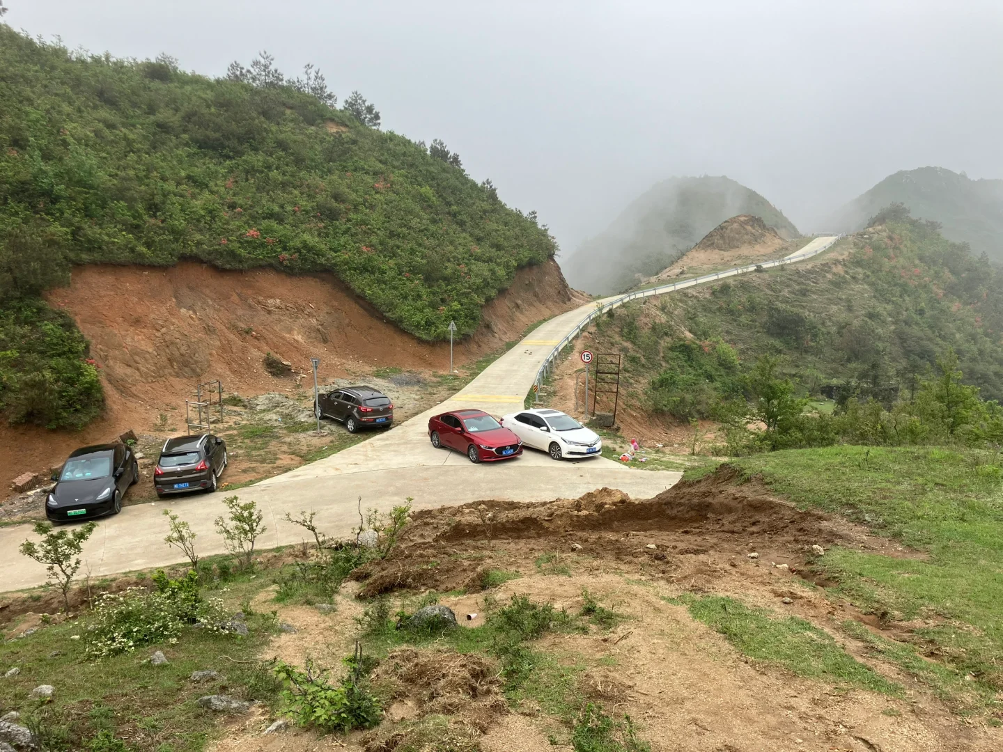 五一反向旅游，松弛感拉满的映山红秘境