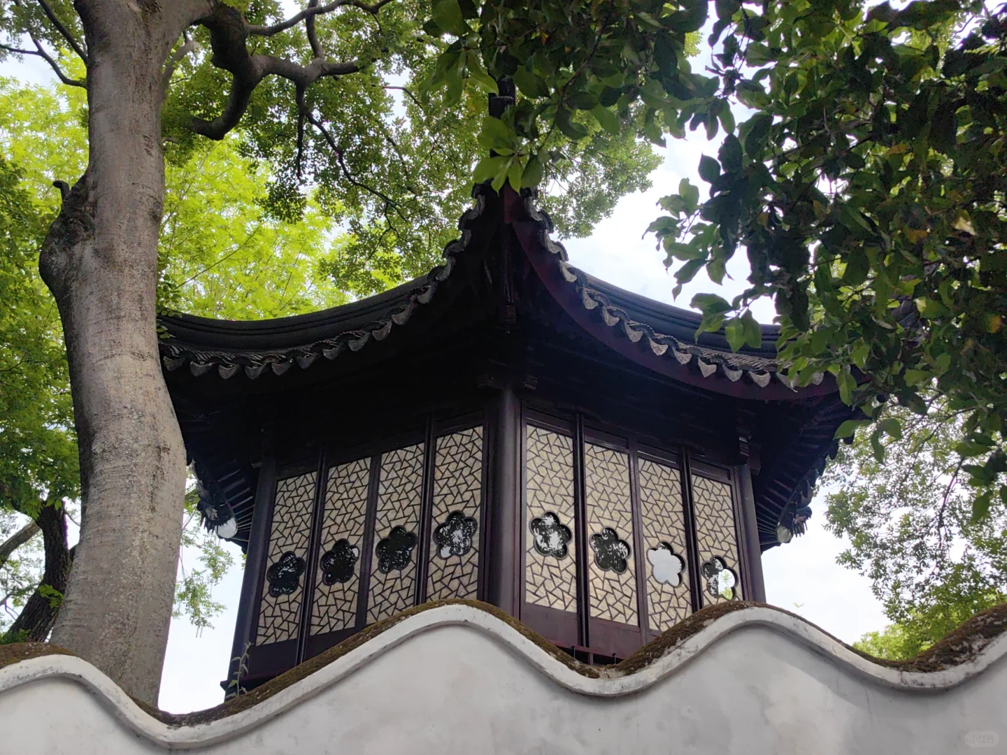 📍蘇州 ·姑蘇