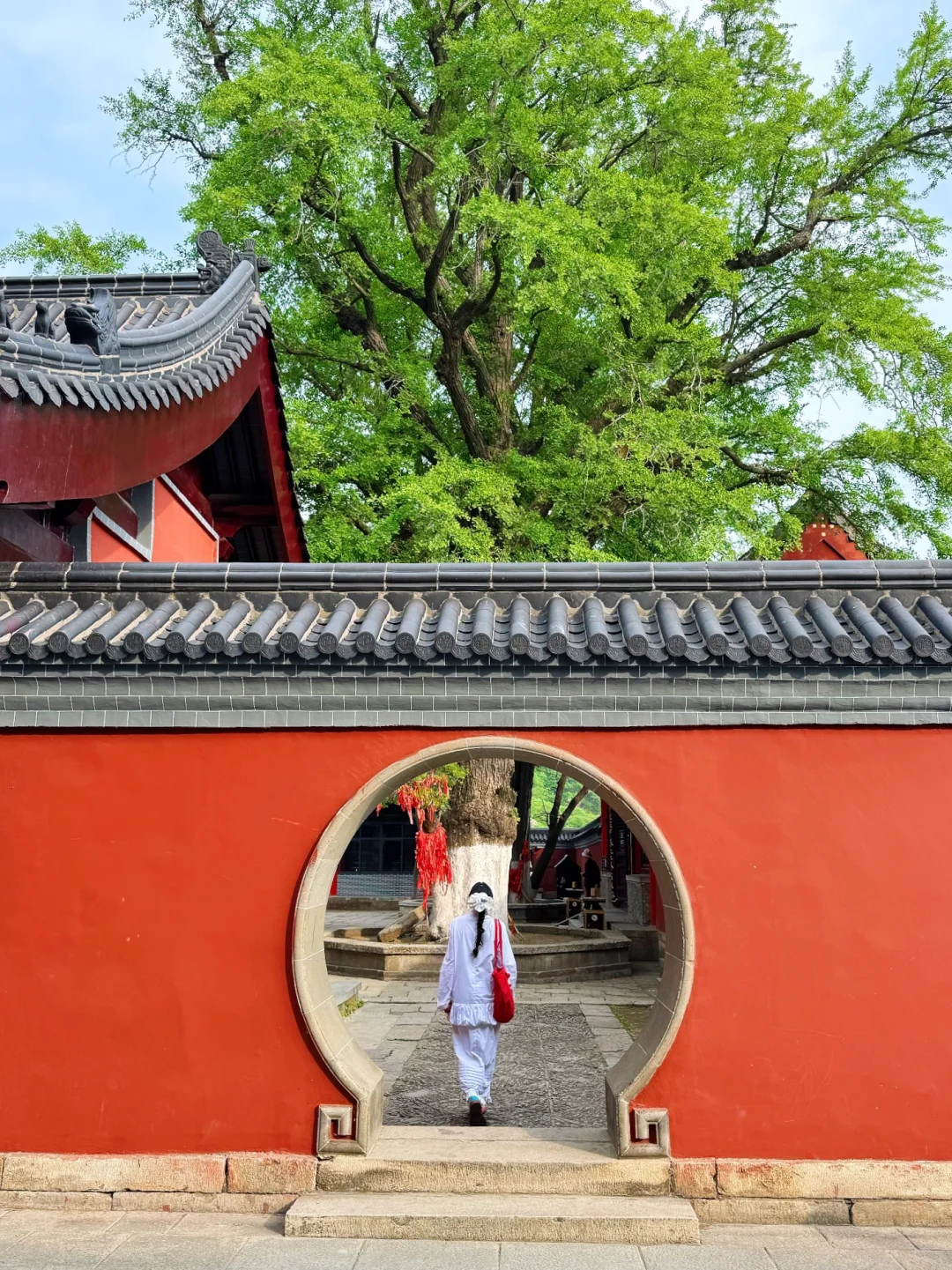 迄今为止，我蕞喜欢的宝藏旅行地出现了…live