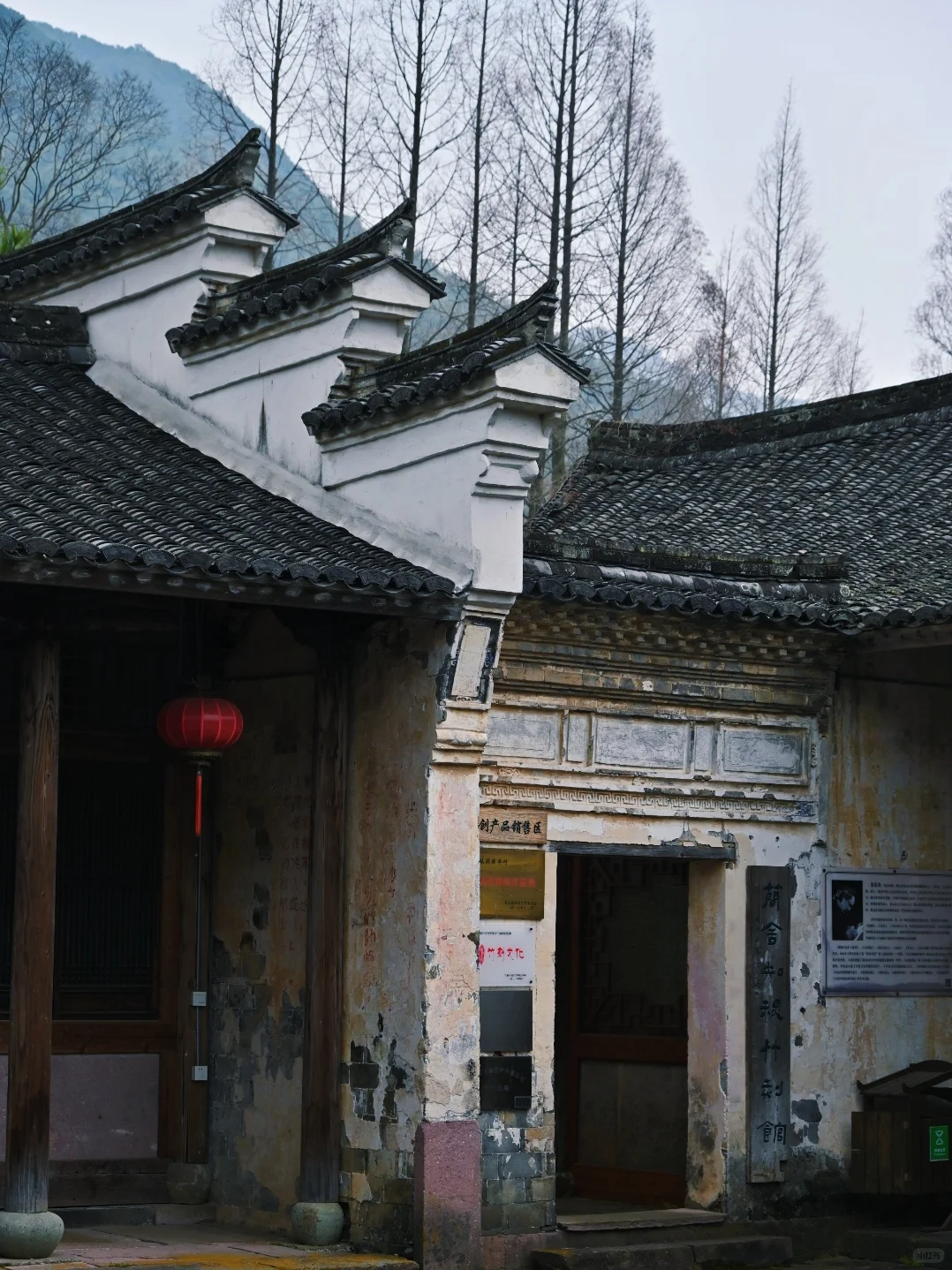 在宁波，今年为止我去过的最美古村落