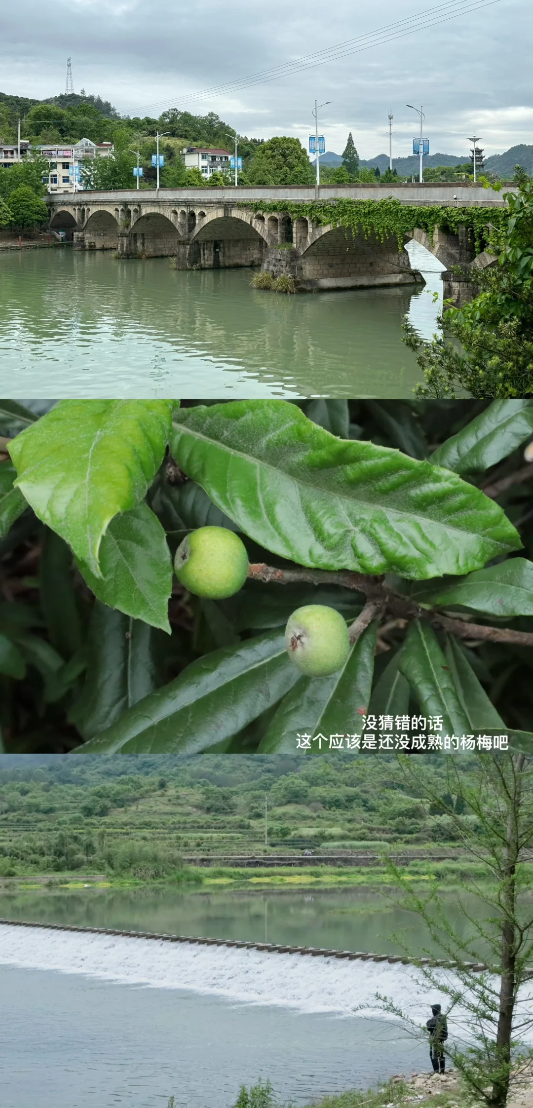 缙云站｜楠楠你说你的家乡很美，我就来了
