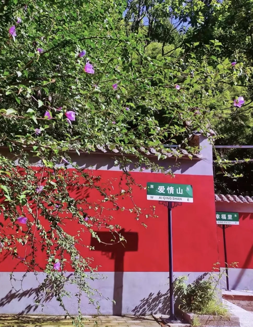 中国爱情山全攻略！此生必游爱情山