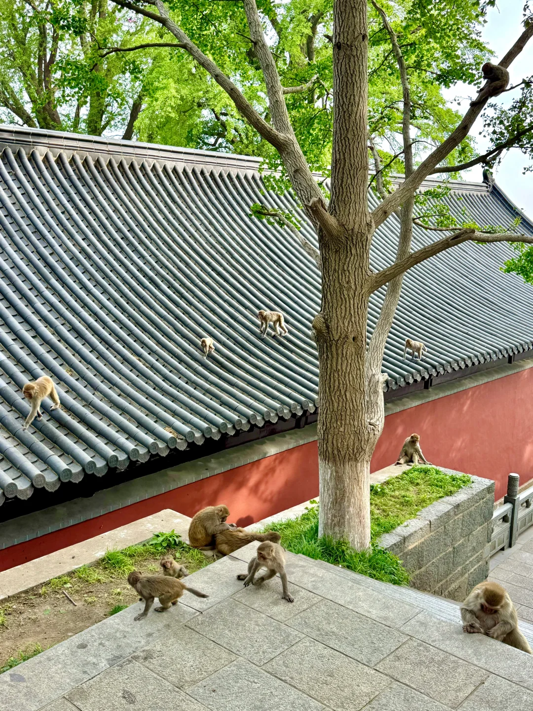 迄今为止，我蕞喜欢的宝藏旅行地出现了…live