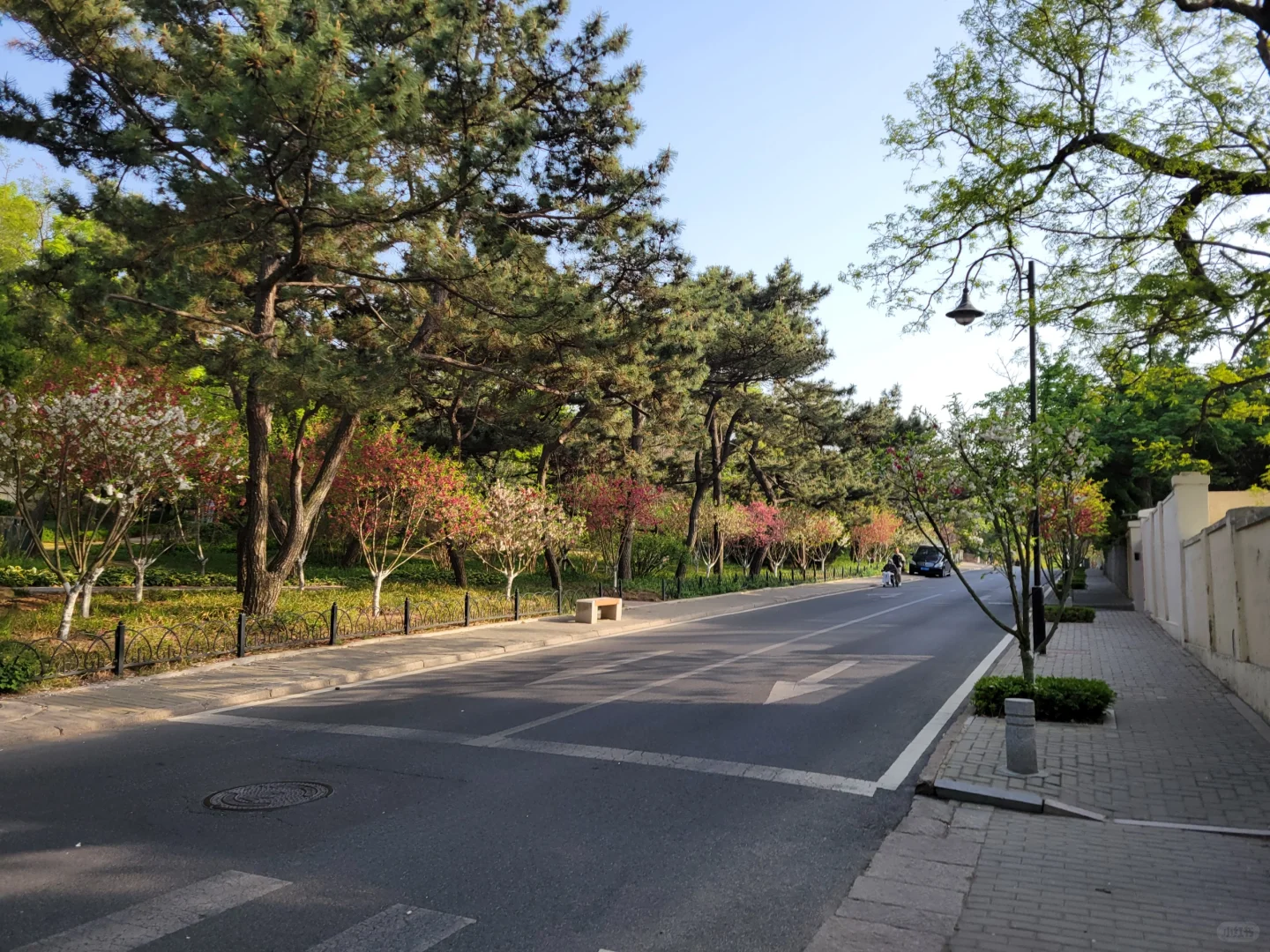 青岛失望的景点和不错的景点