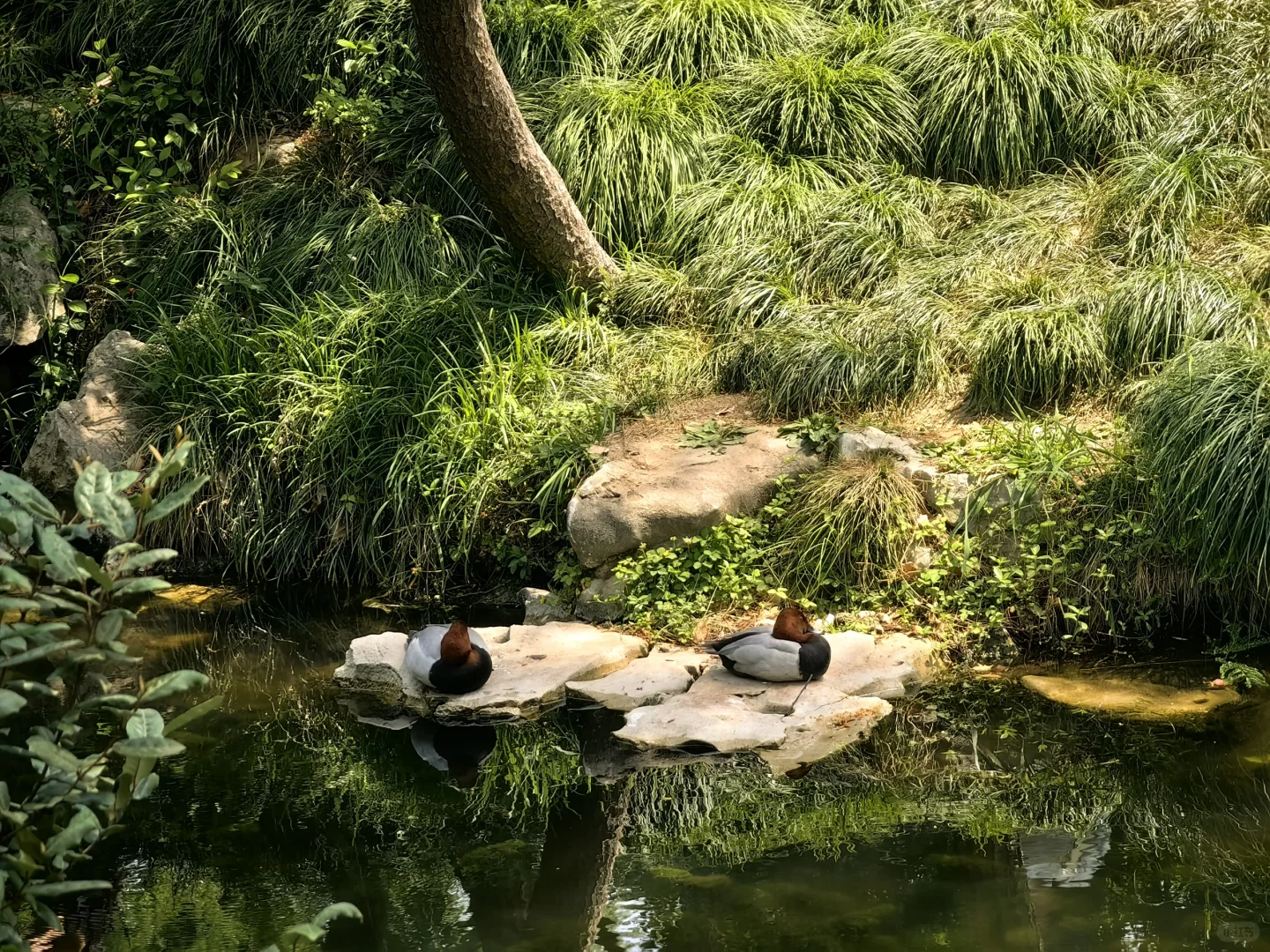 📍蘇州 ·姑蘇