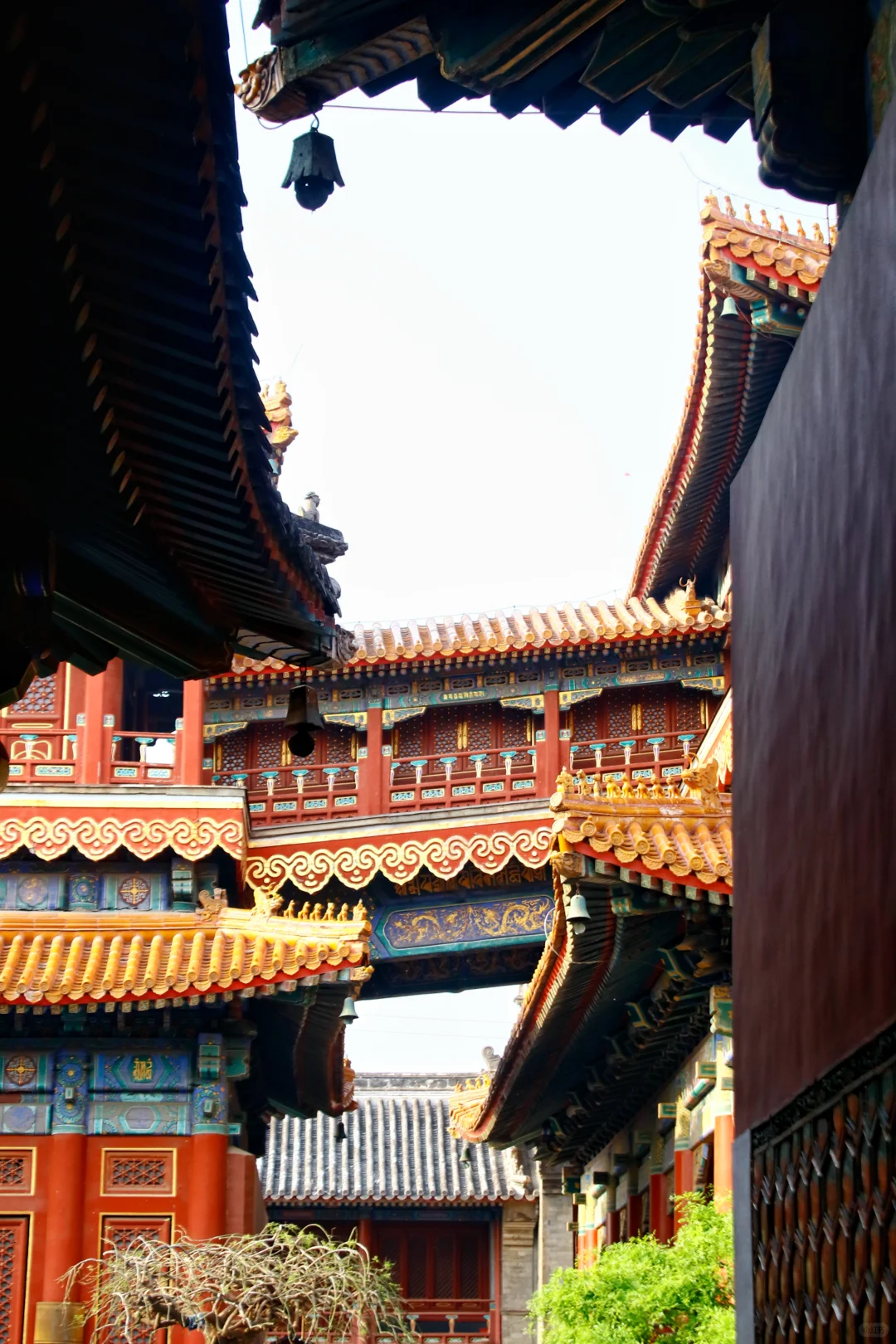 风景记录