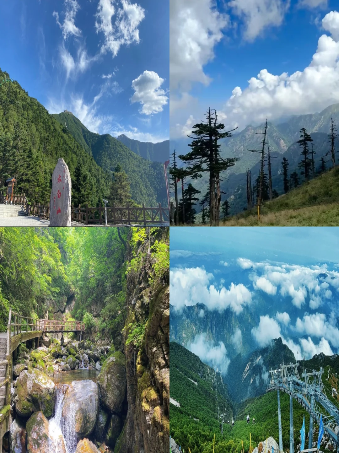 氧气出游，5-7月秦岭游玩、美食📍美爆了
