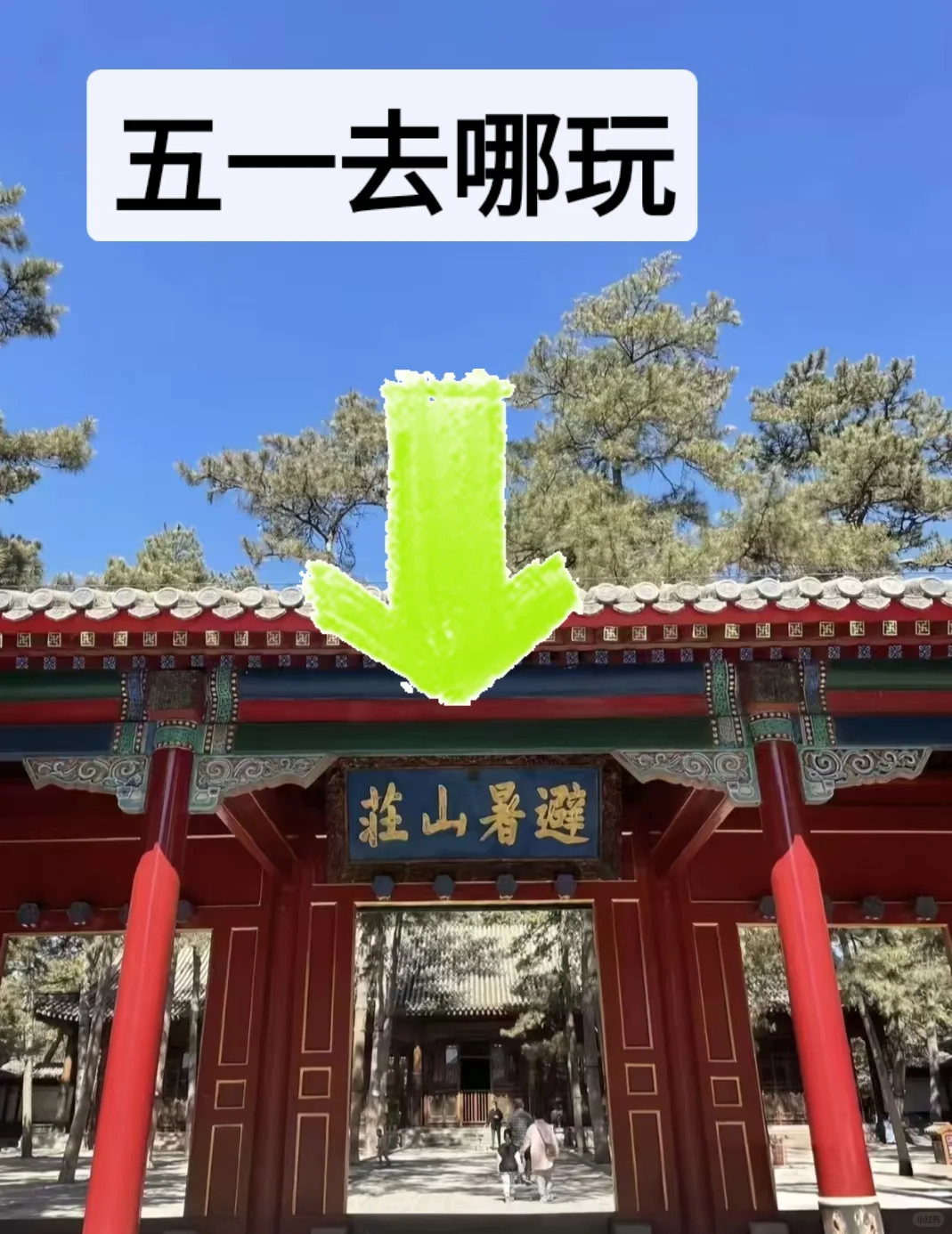 五一怎么玩՞•･•՞🐾