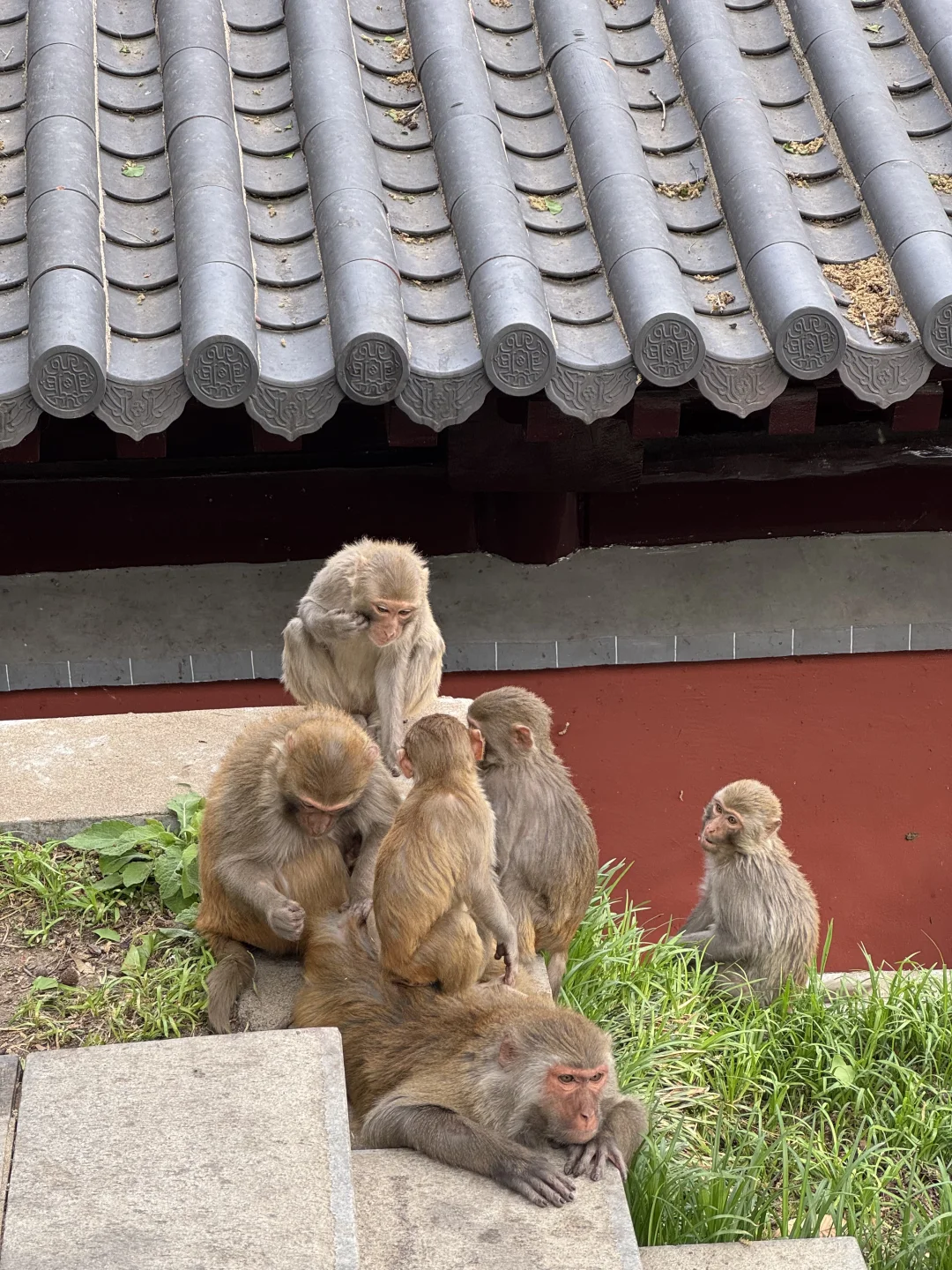迄今为止，我蕞喜欢的宝藏旅行地出现了…live