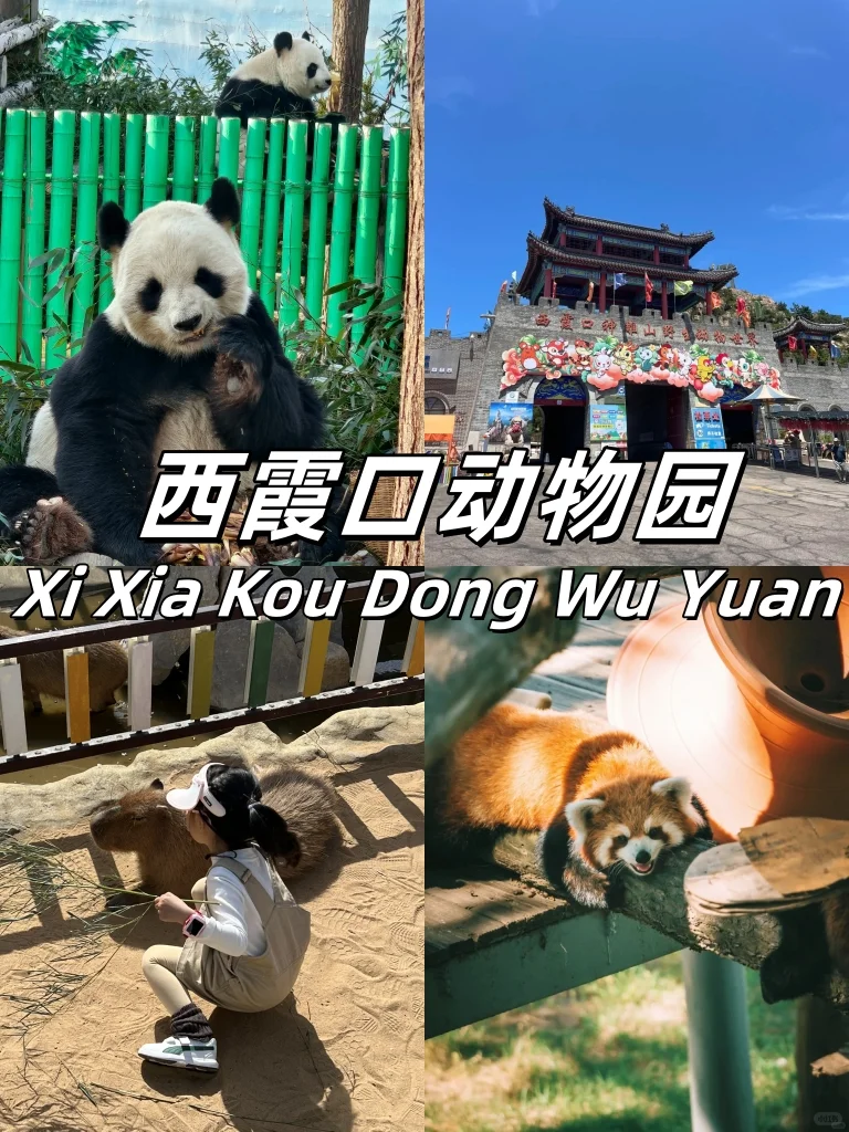 救命！威海这 9 个地方美到我走不动道