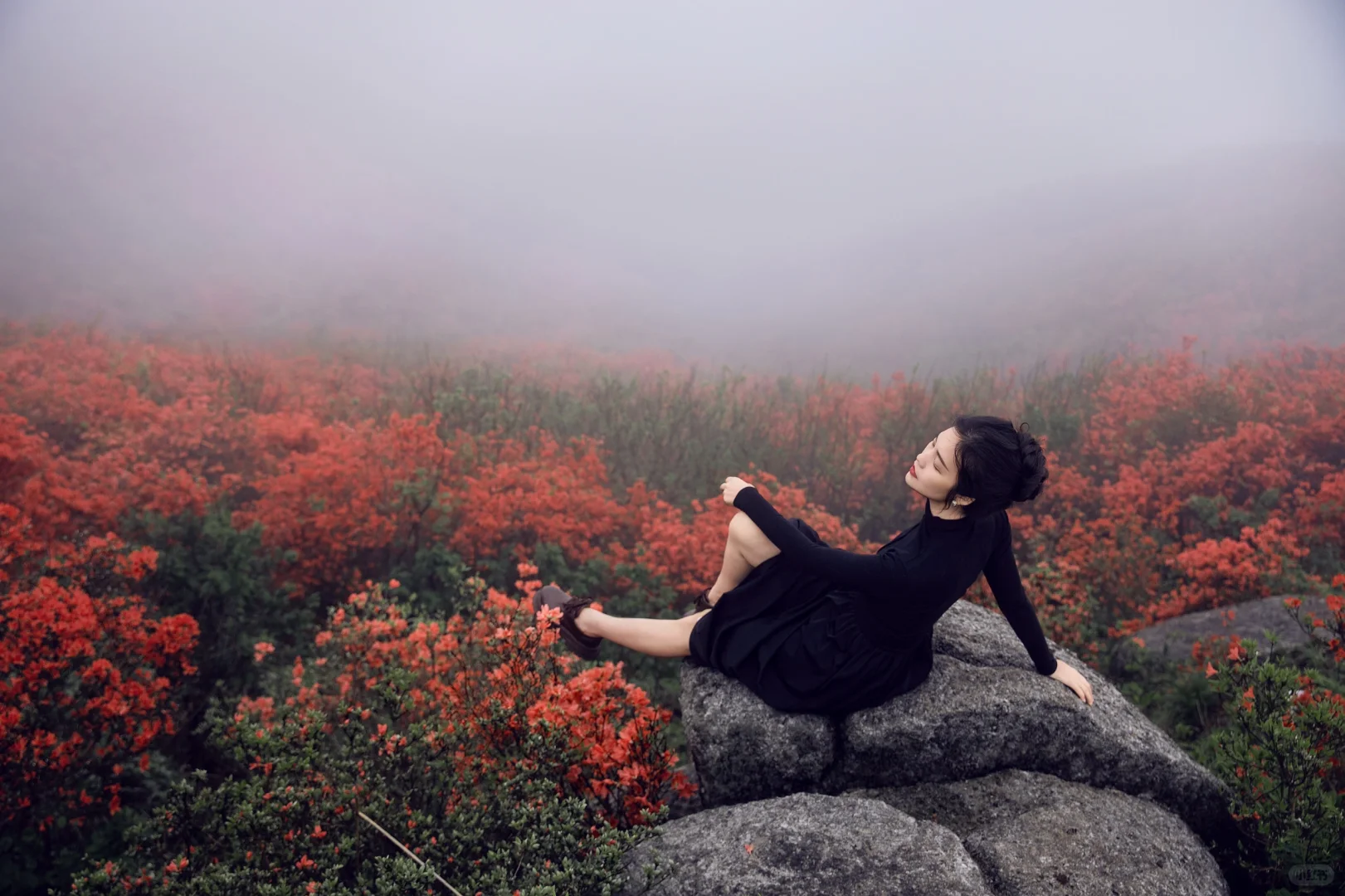 五一反向旅游，松弛感拉满的映山红秘境