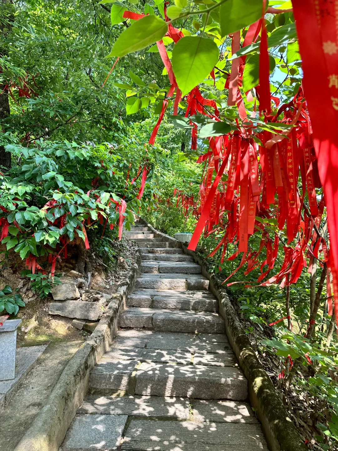 五一反向游｜河南省内小众旅行地🍃狠狠吸氧