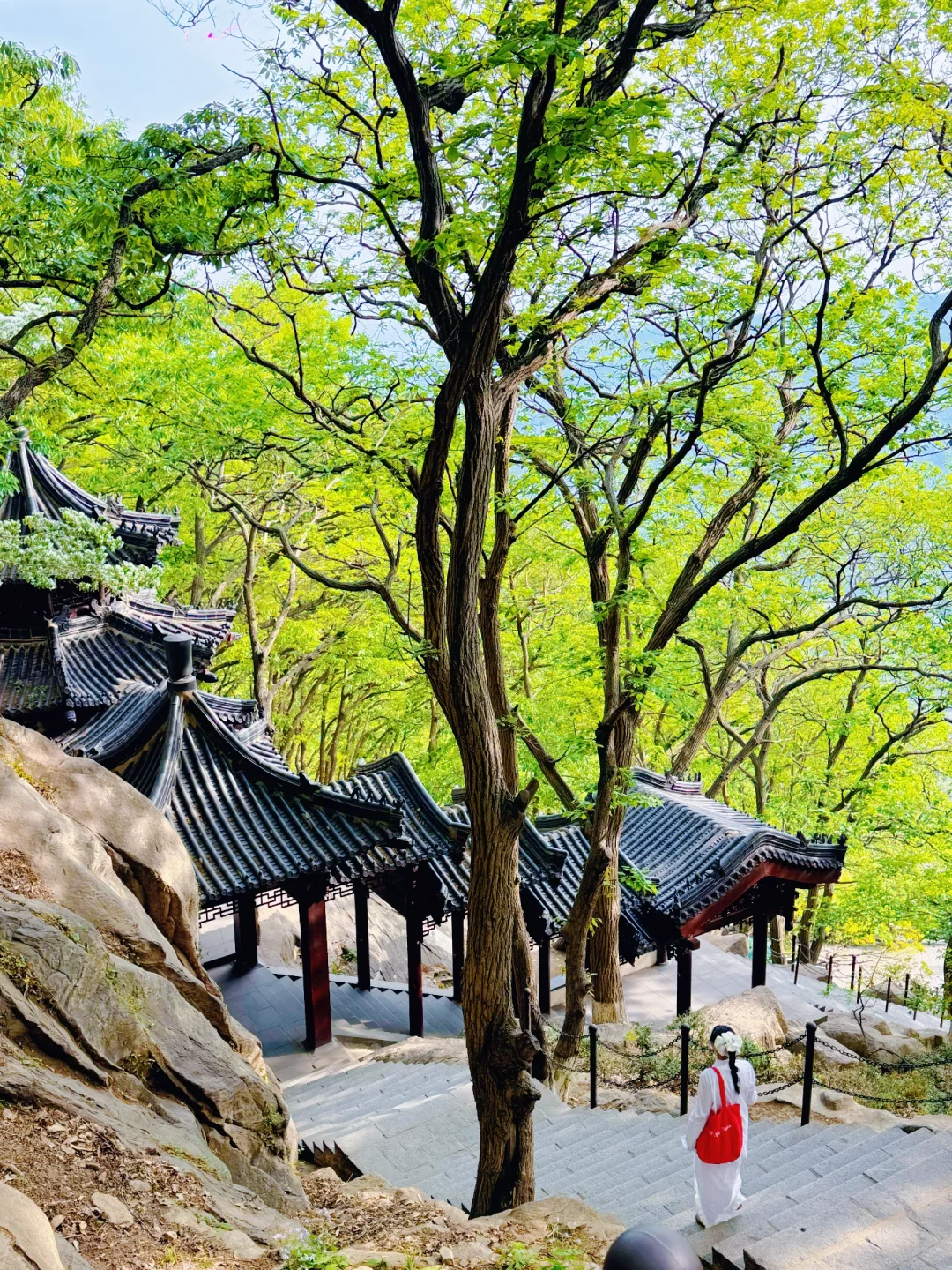 迄今为止，我蕞喜欢的宝藏旅行地出现了…live