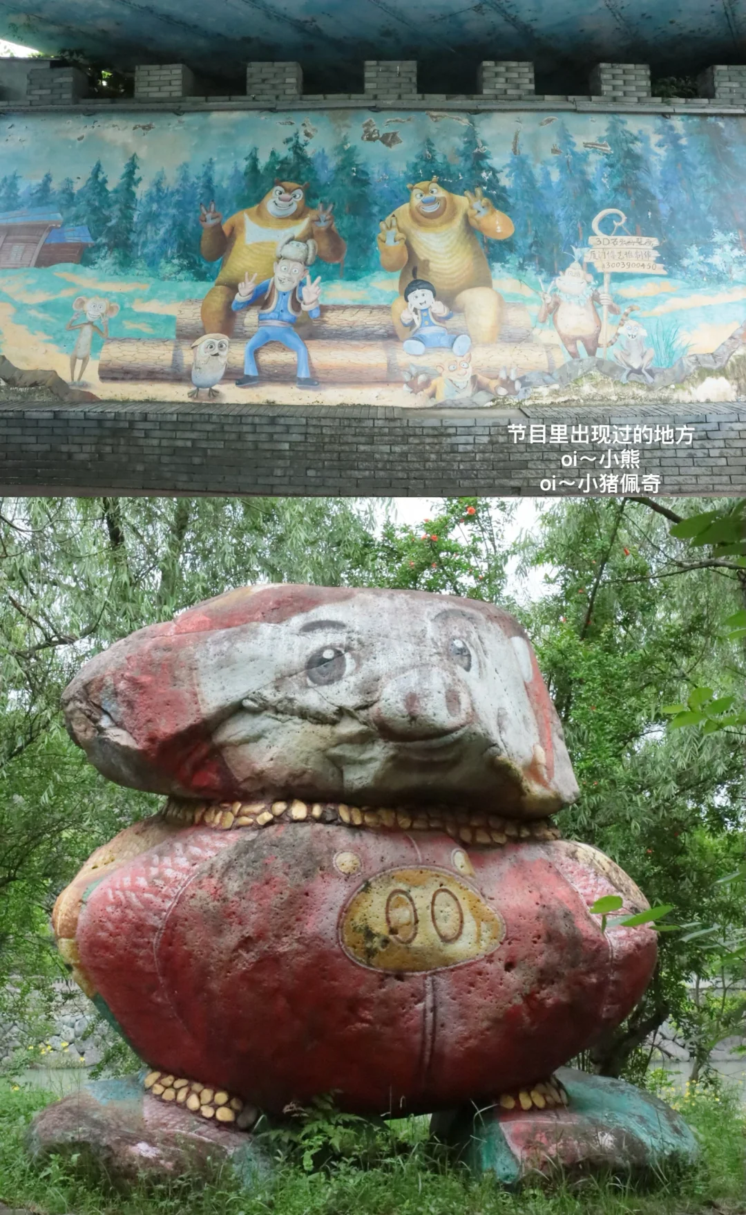 缙云站｜楠楠你说你的家乡很美，我就来了
