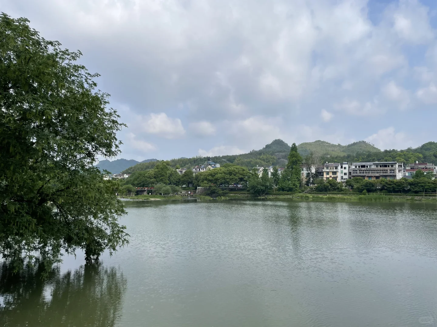 你来，我安排
