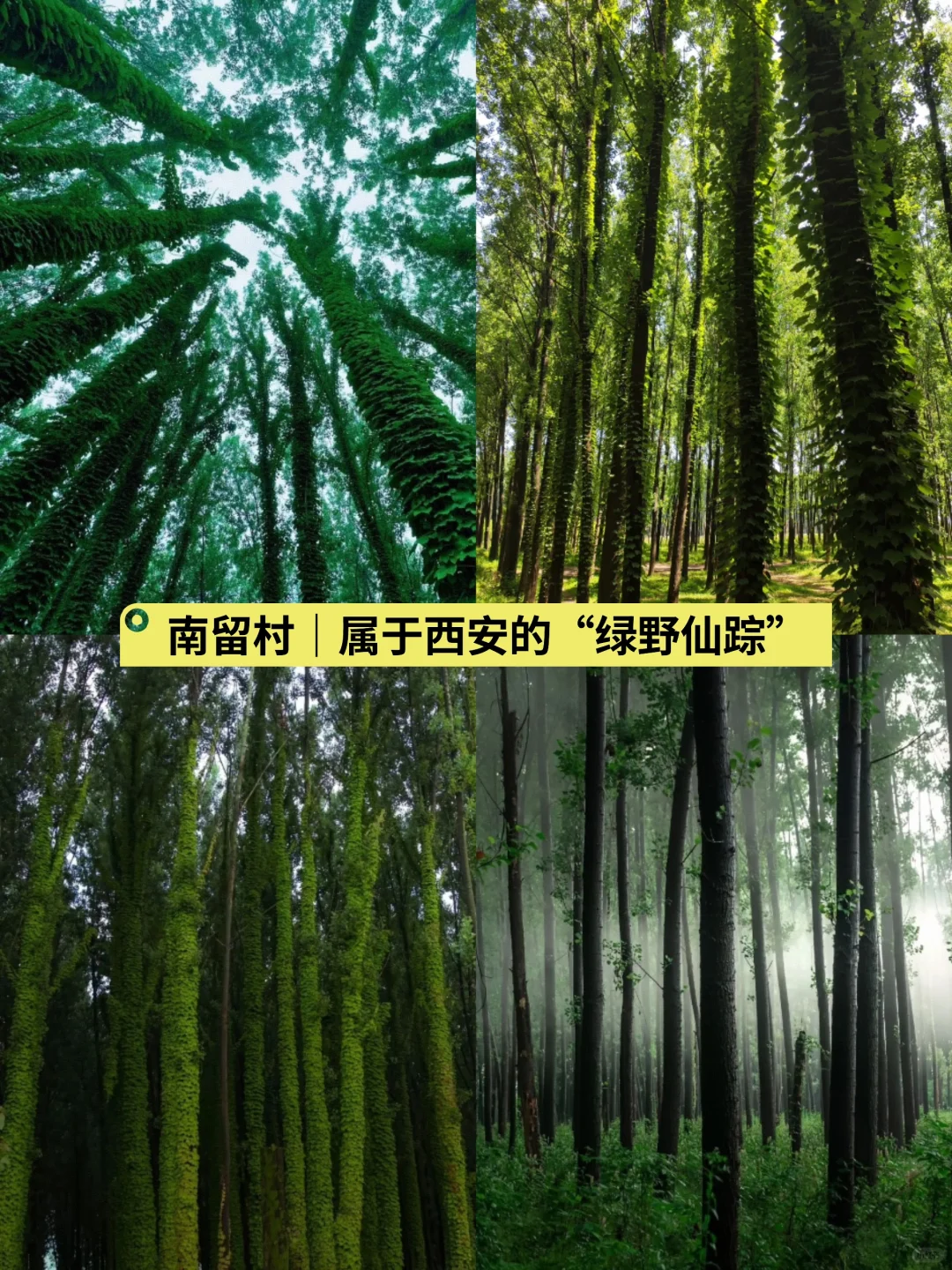 🌟五一反向出行攻略｜人少避暑的6个宝藏地🌟