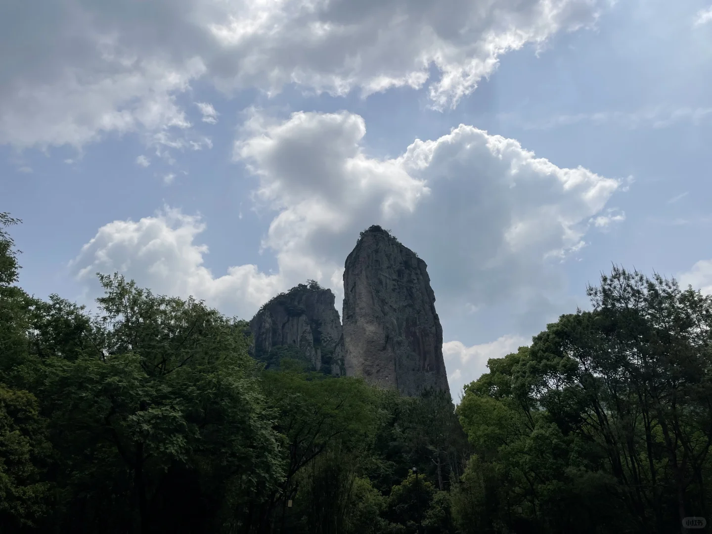 你来，我安排