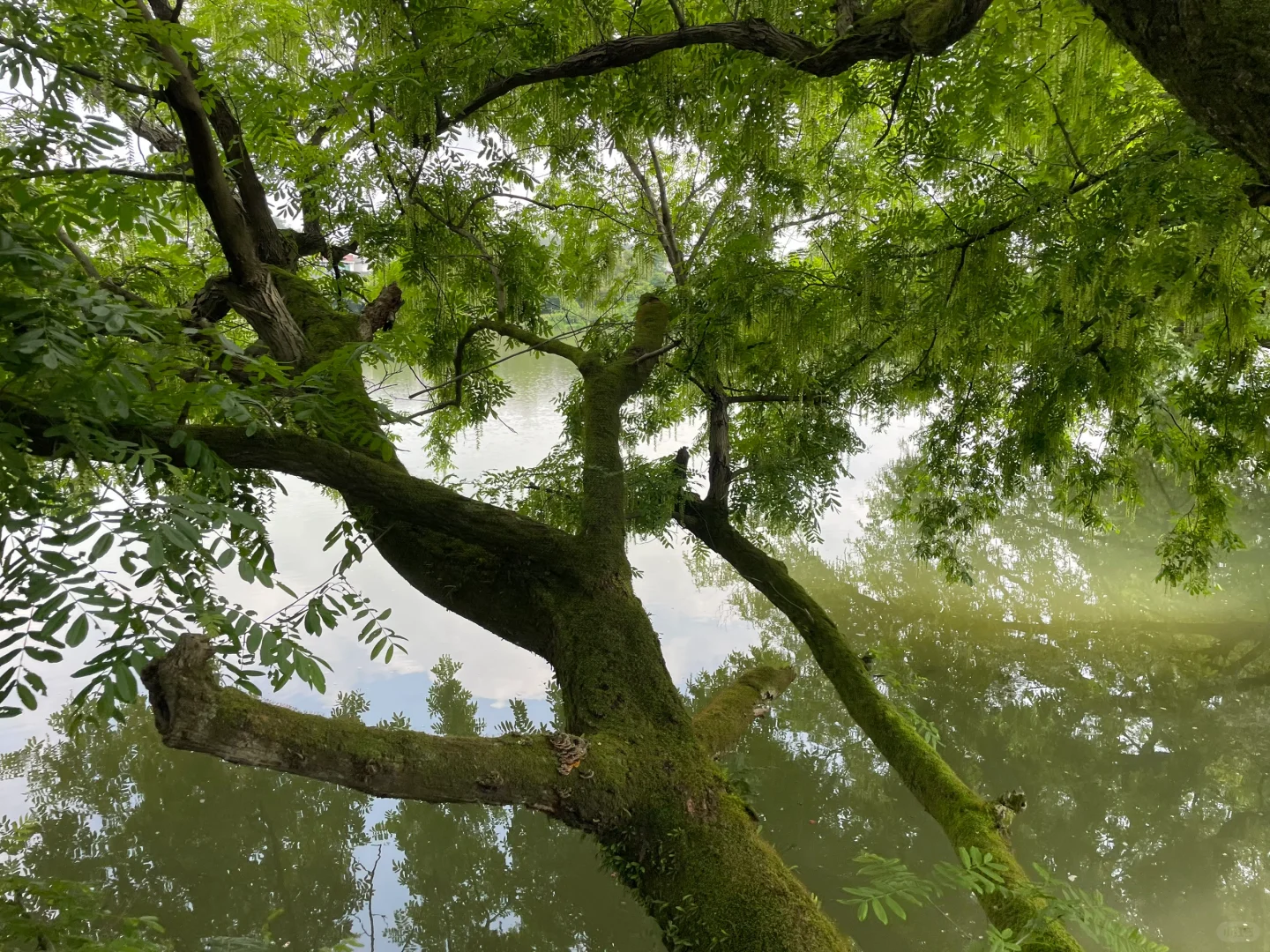 你来，我安排
