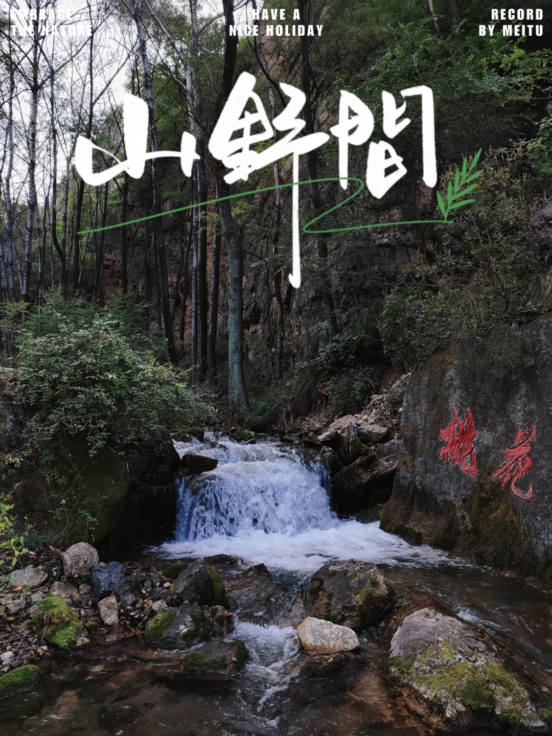 大同出发桃花山