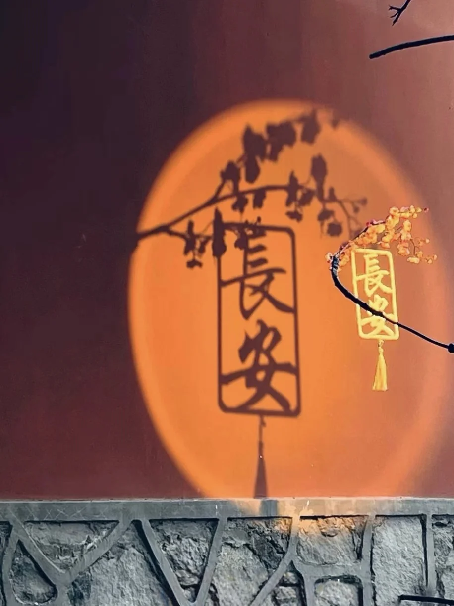 西安，既长安，又常安🌙（五一三天两夜）