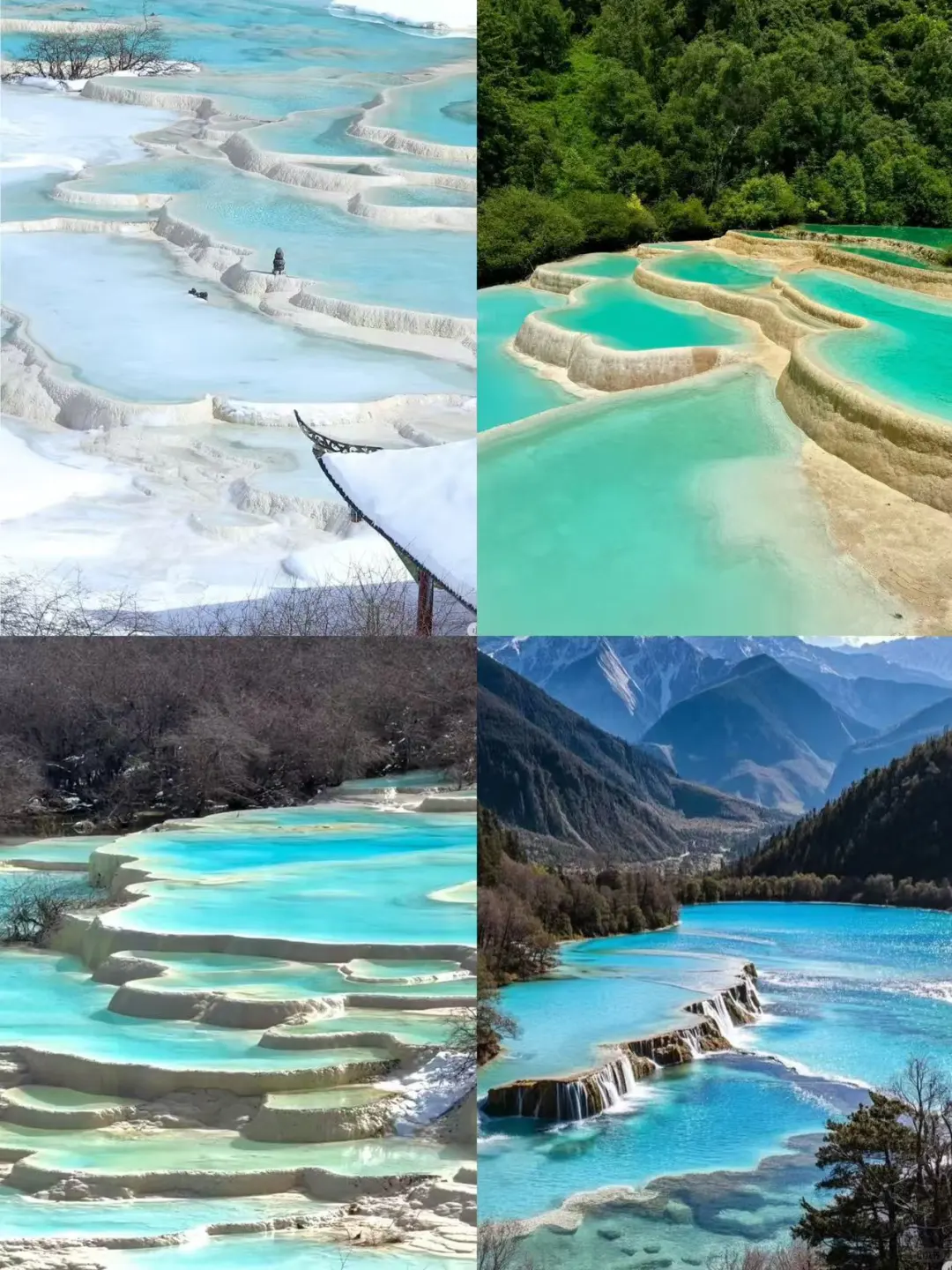 五一去九寨沟+四姑娘山‼️定制游超省心
