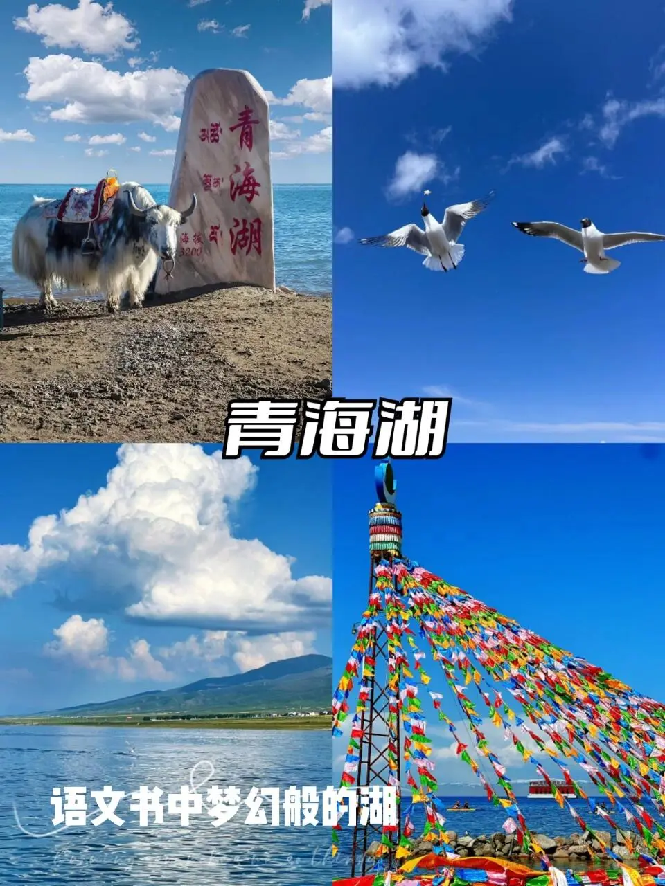 女大🏃游西北，总要有一次旅行属于甘青