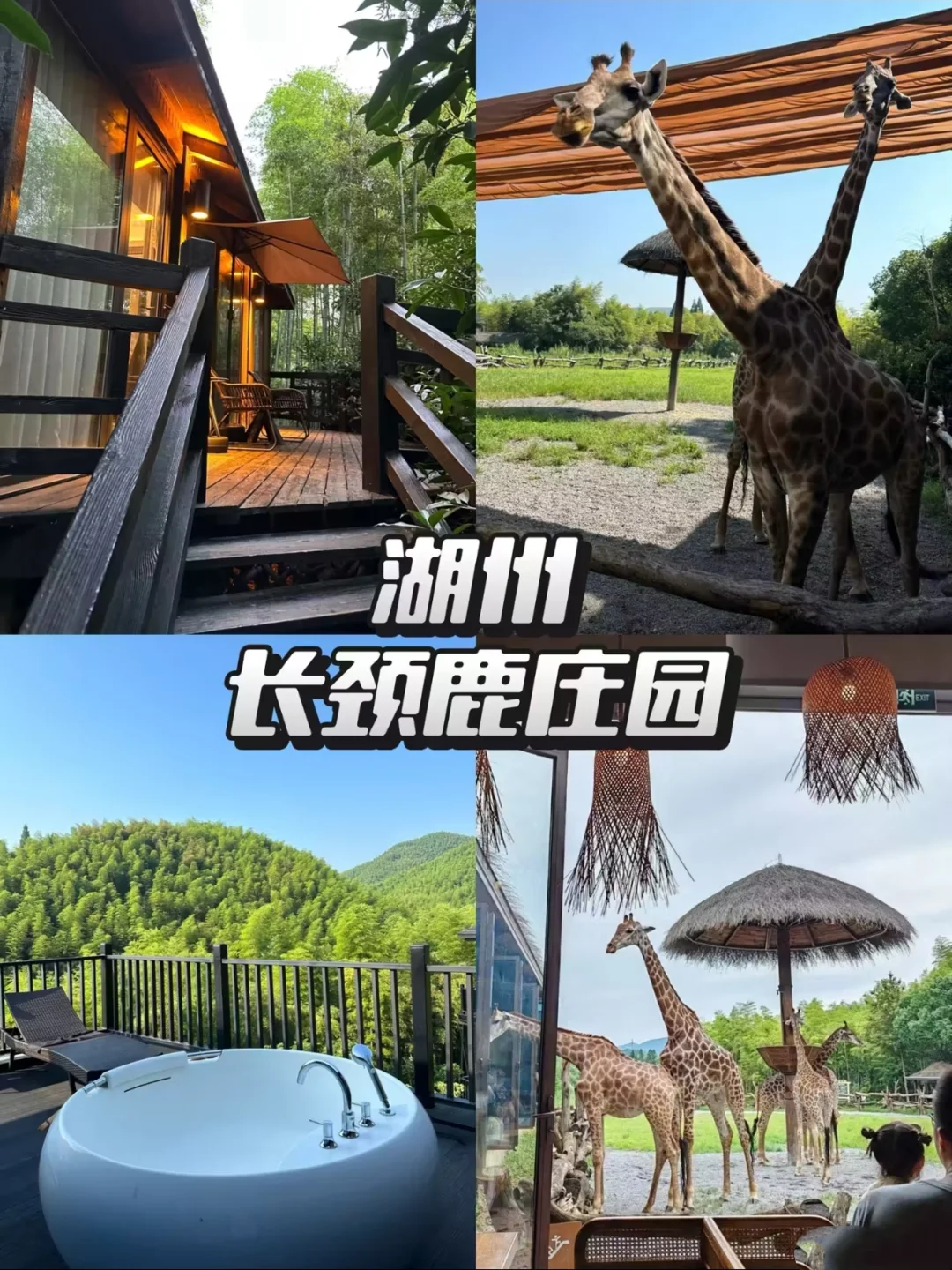 Deepseek推荐五一最适合遛娃的小众宝藏地！