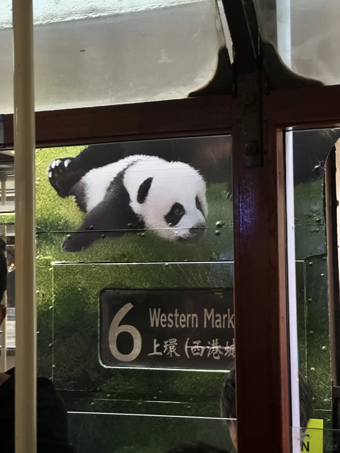 🇭🇰香港旅游不走回头路打卡最佳路线攻略！