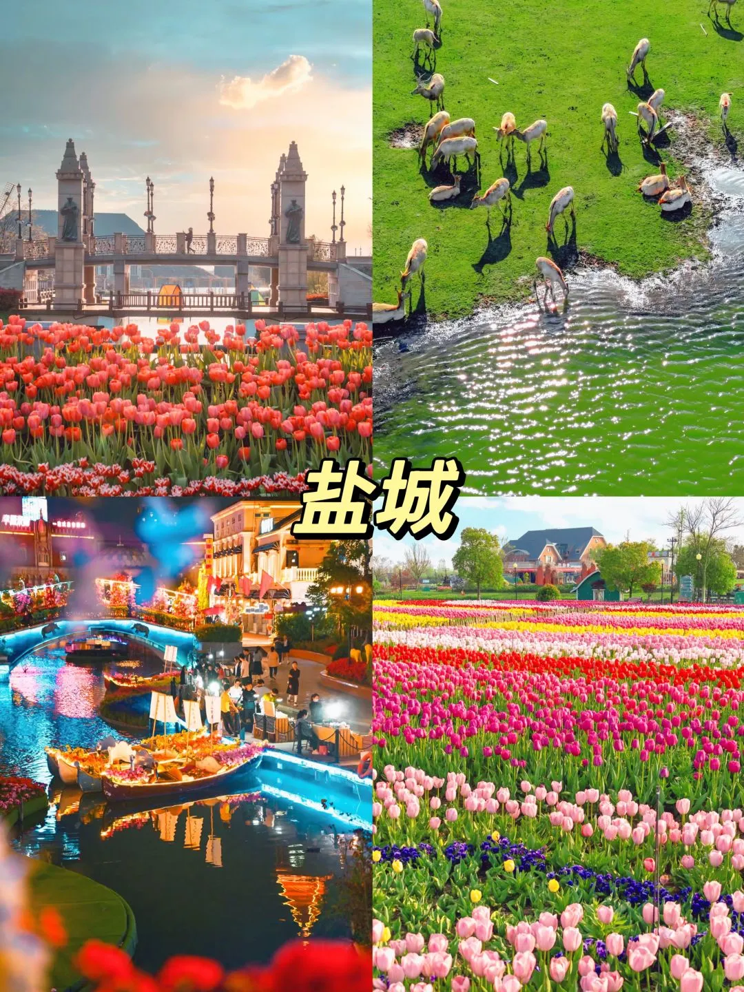 反向旅行天花板🔥五一必去9个冷门小城‼