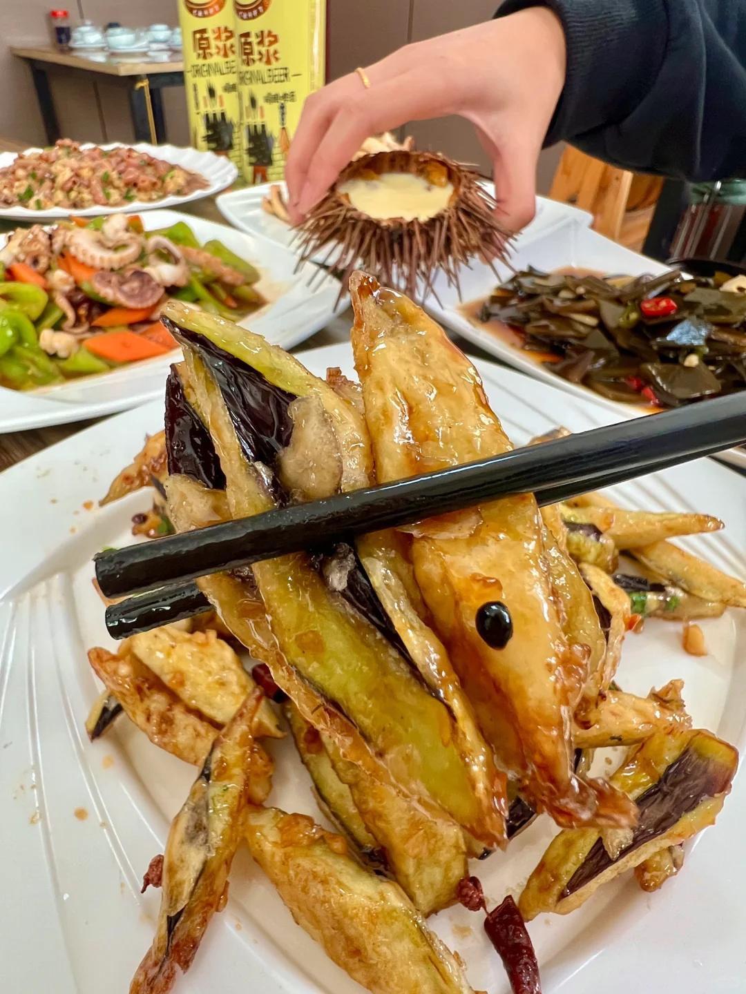 刚从蓬莱回来！说点大实话……😅😅