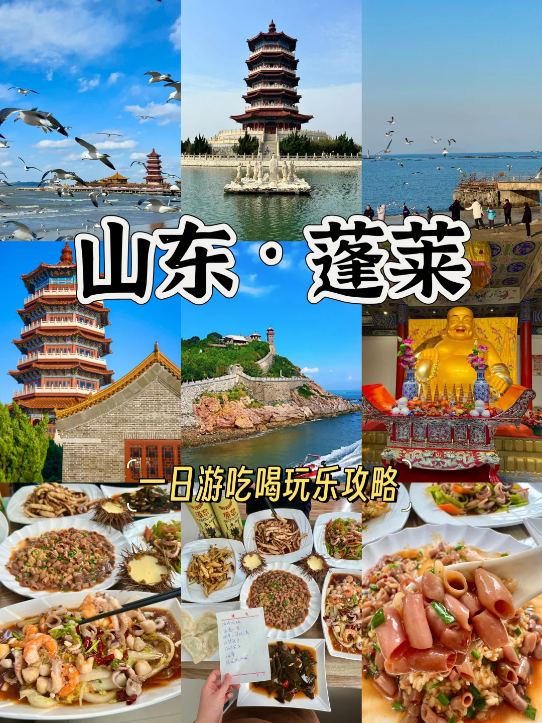 刚从蓬莱回来！说点大实话……😅😅