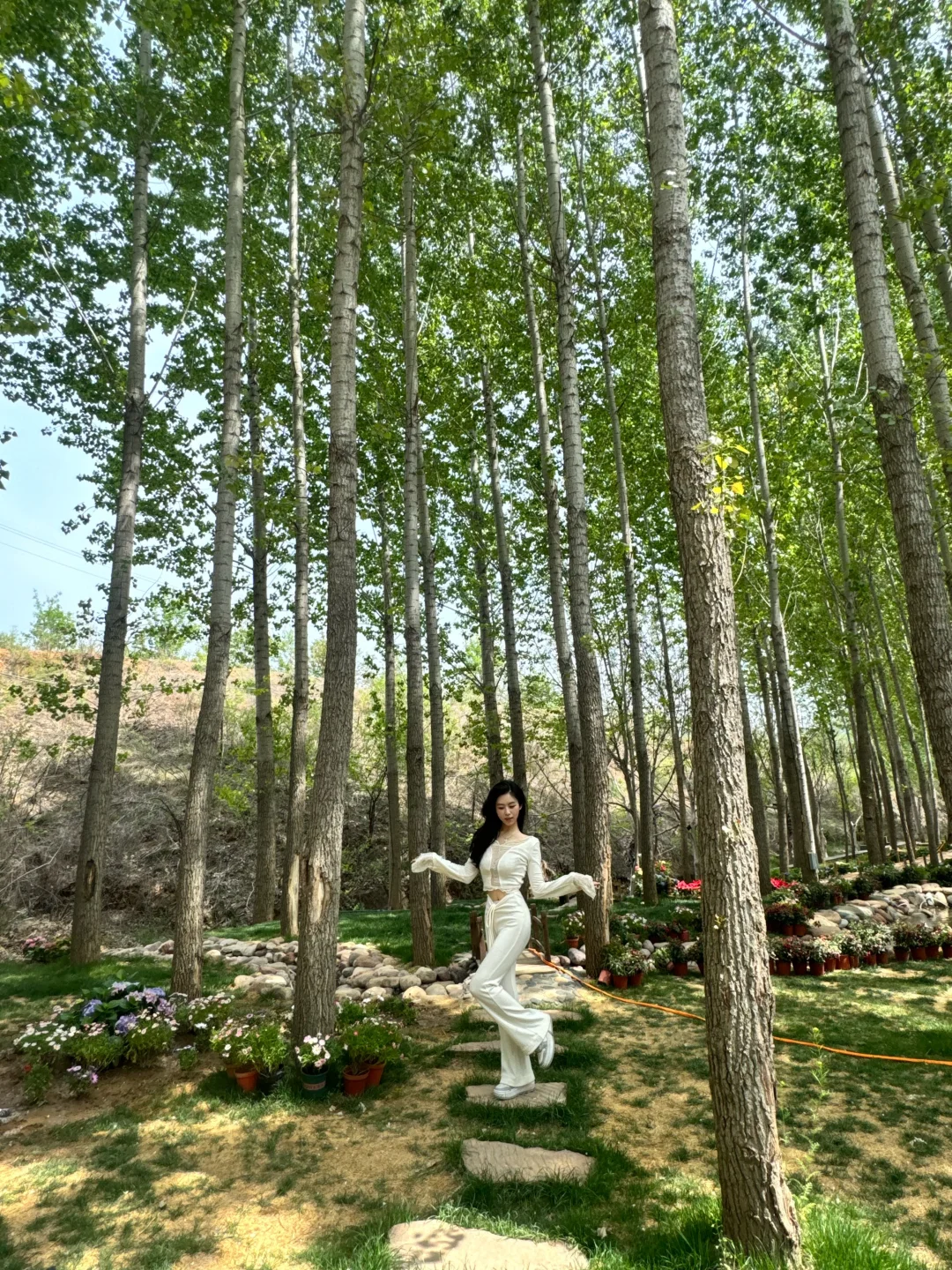 假期就去这！竟然有这么美的莫奈花园！💐