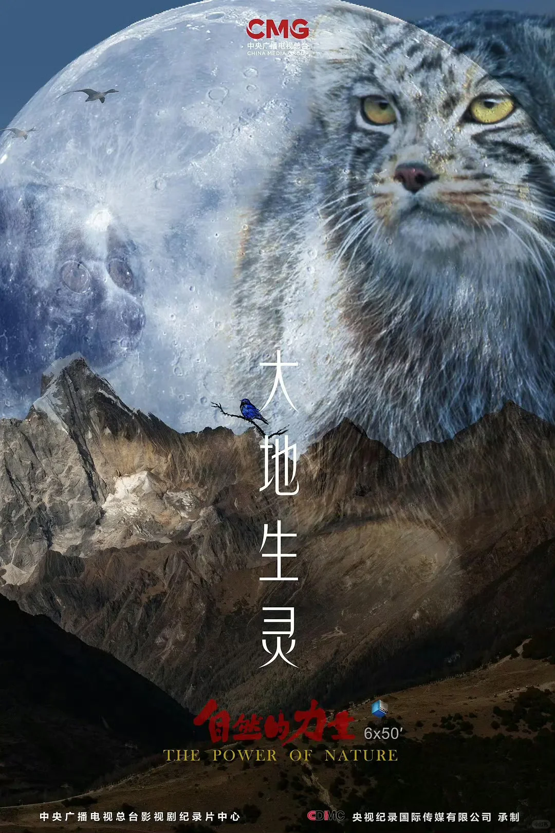 不知道五一去哪儿玩？九部纪录片告诉你